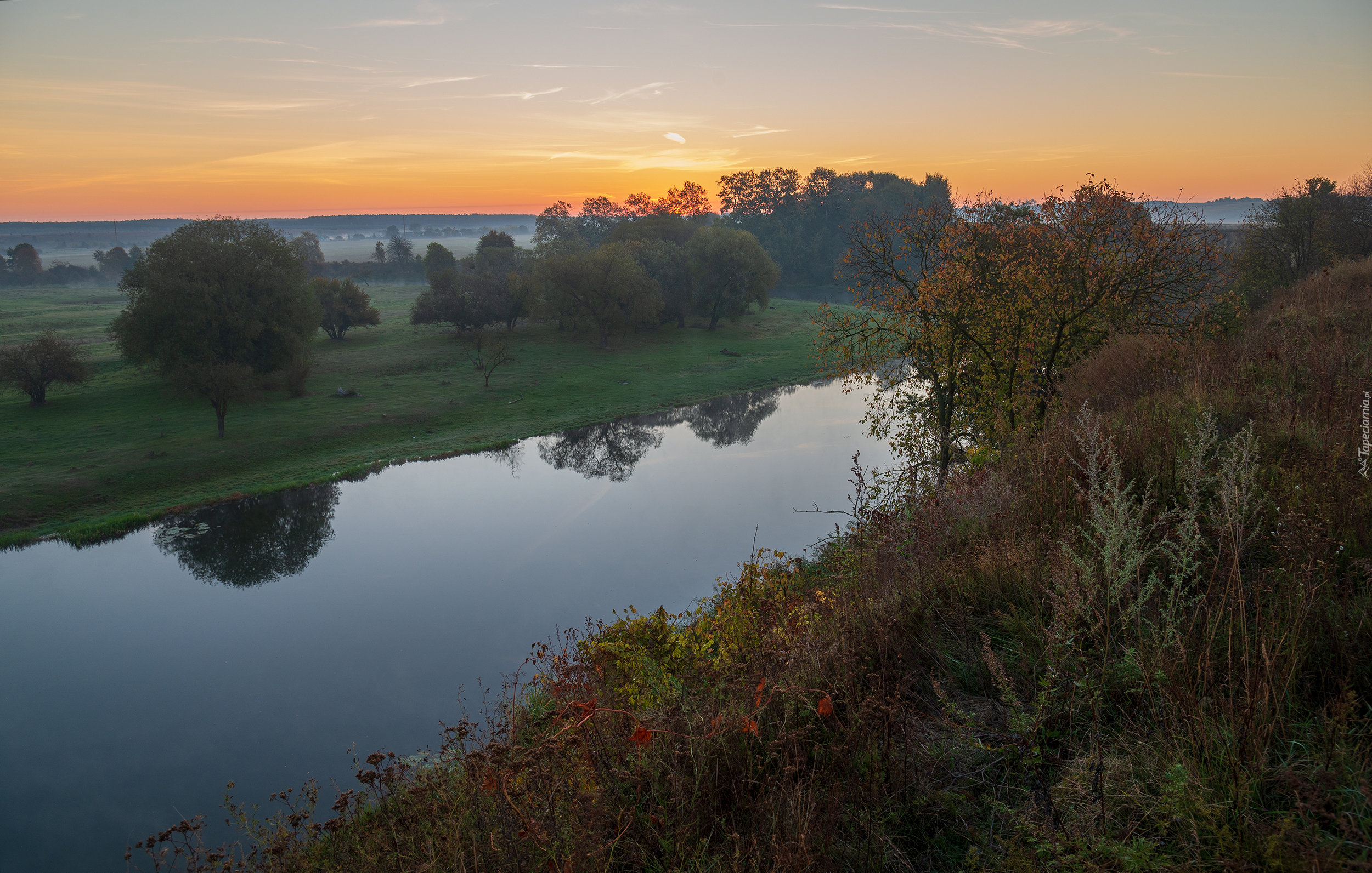 Rzeka, Pola, Łąka, Drzewa, Trawa, Krzewy, Wschód słońca, Mgła