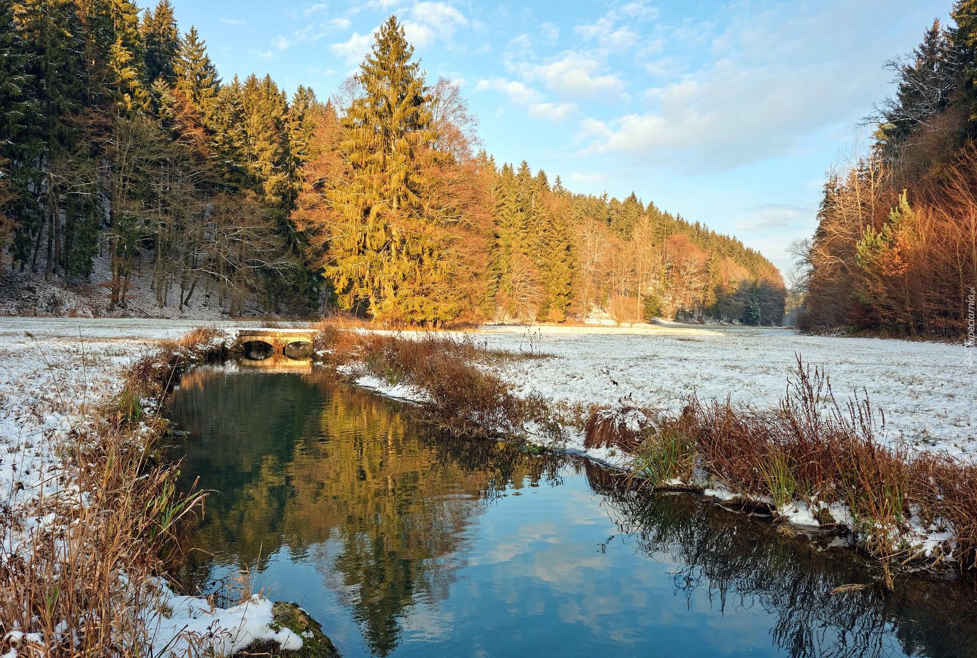 Zima, Las, Rzeka, Śnieg, Słoneczny, Dzień