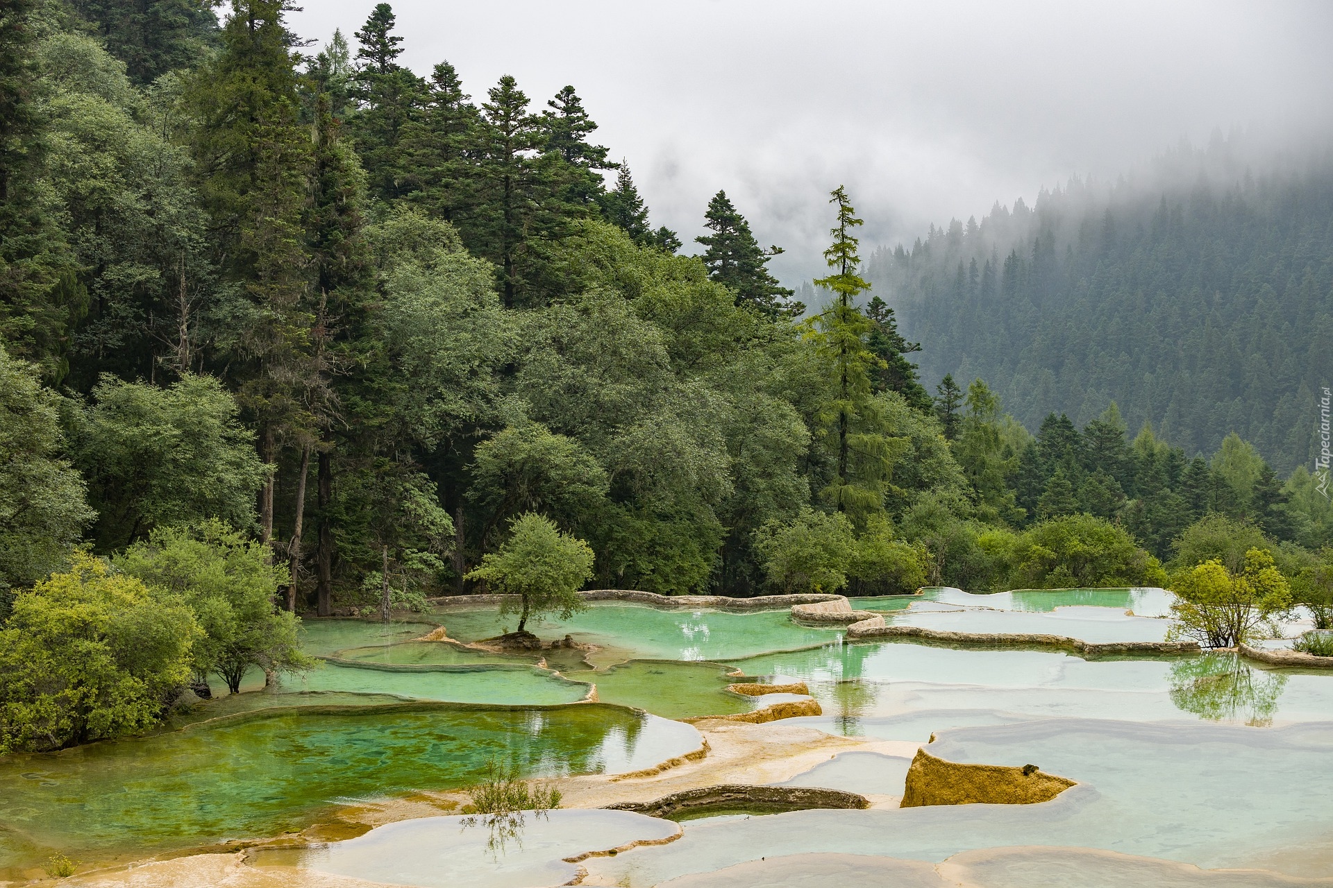 Sadzawki tarasowe, Kaskada, Drzewa, Dolina Huanglong, Chiny