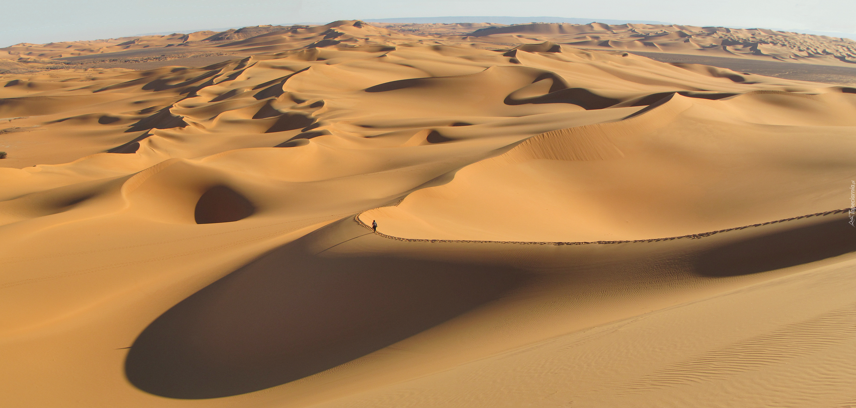 Sahara Desert, Algeria без смс