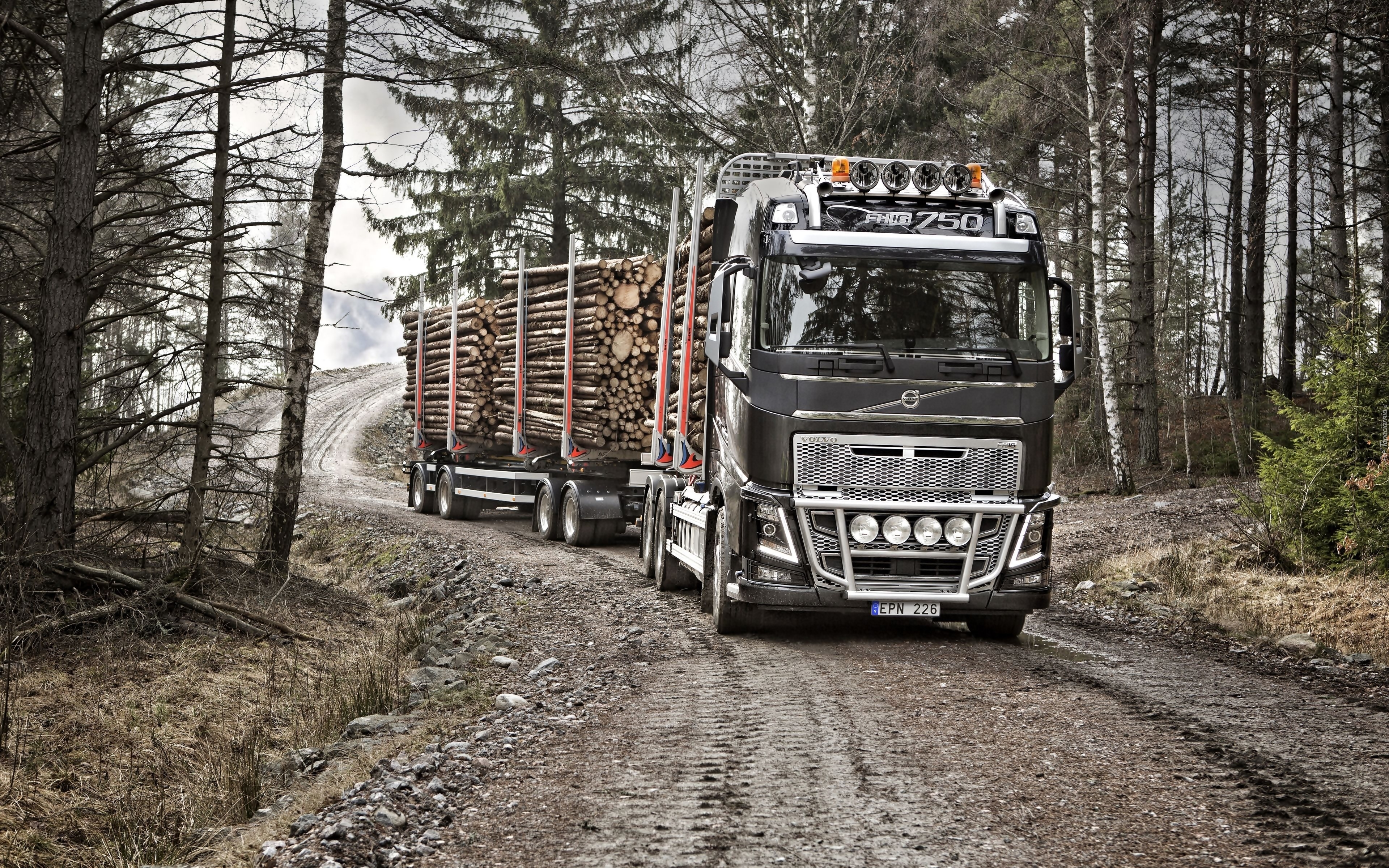 Ciężarówka, Volvo FH 16 250, Droga, Las