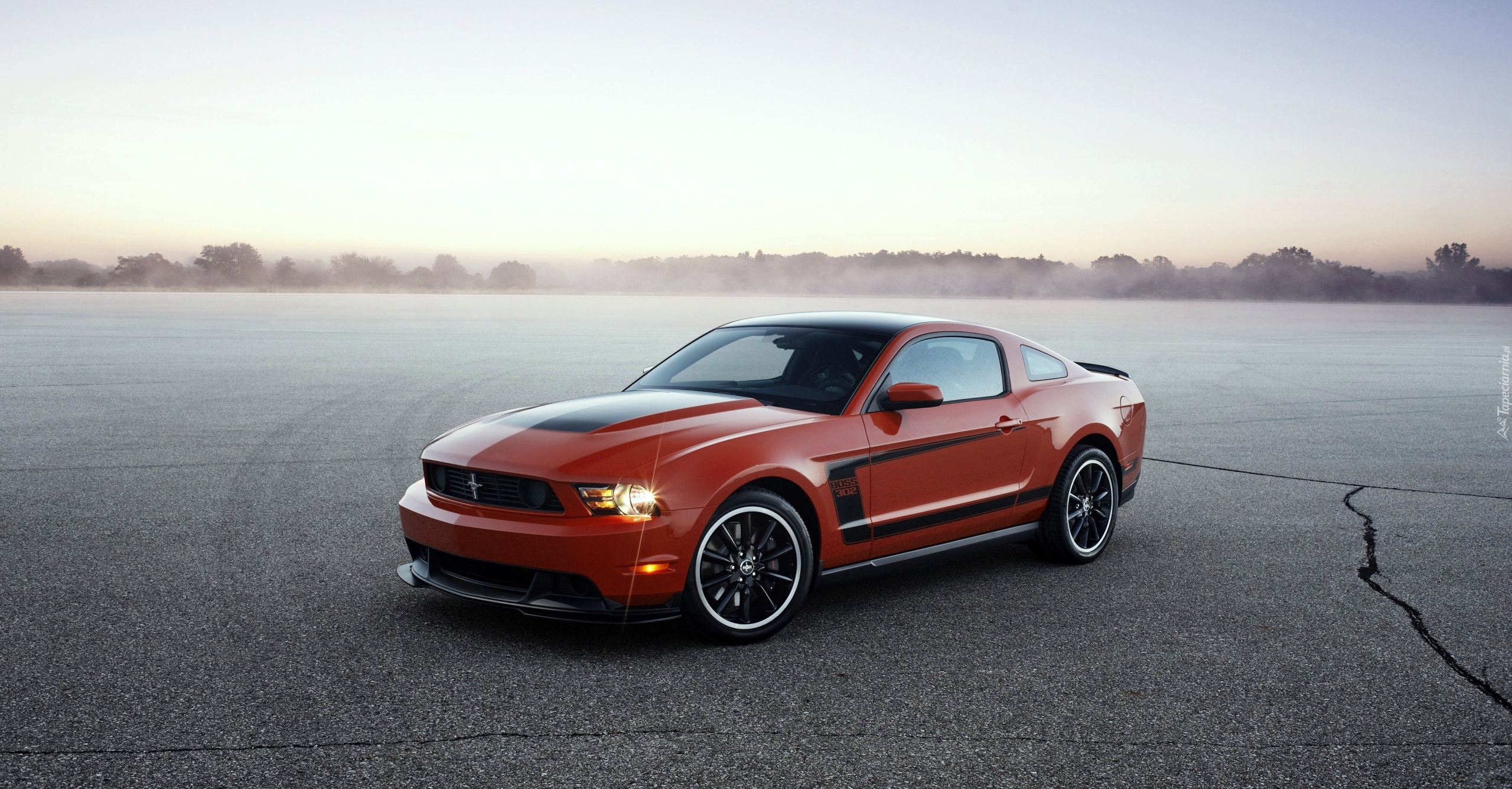 Ford Mustang Boss 302, 2012