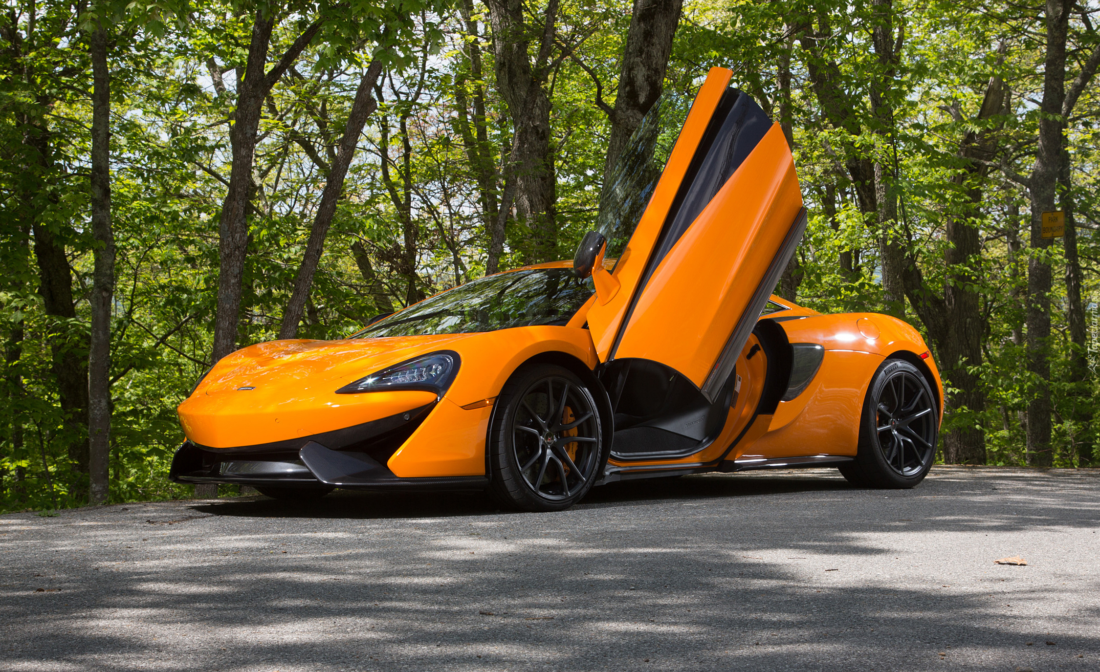 McLaren 570S, 2016