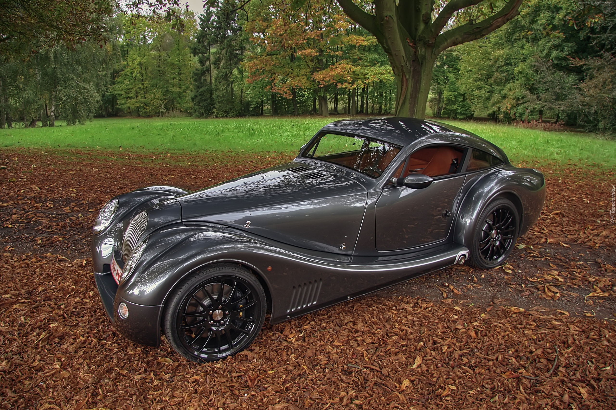 Morgan Aero 8, Park, Liście