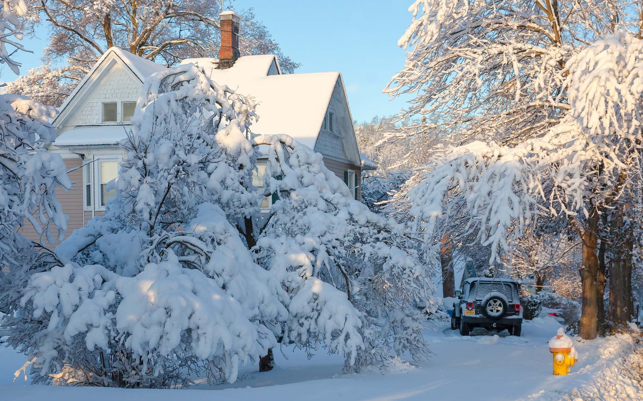 Zima, Dom, Drzewa, Śnieg, Samochód