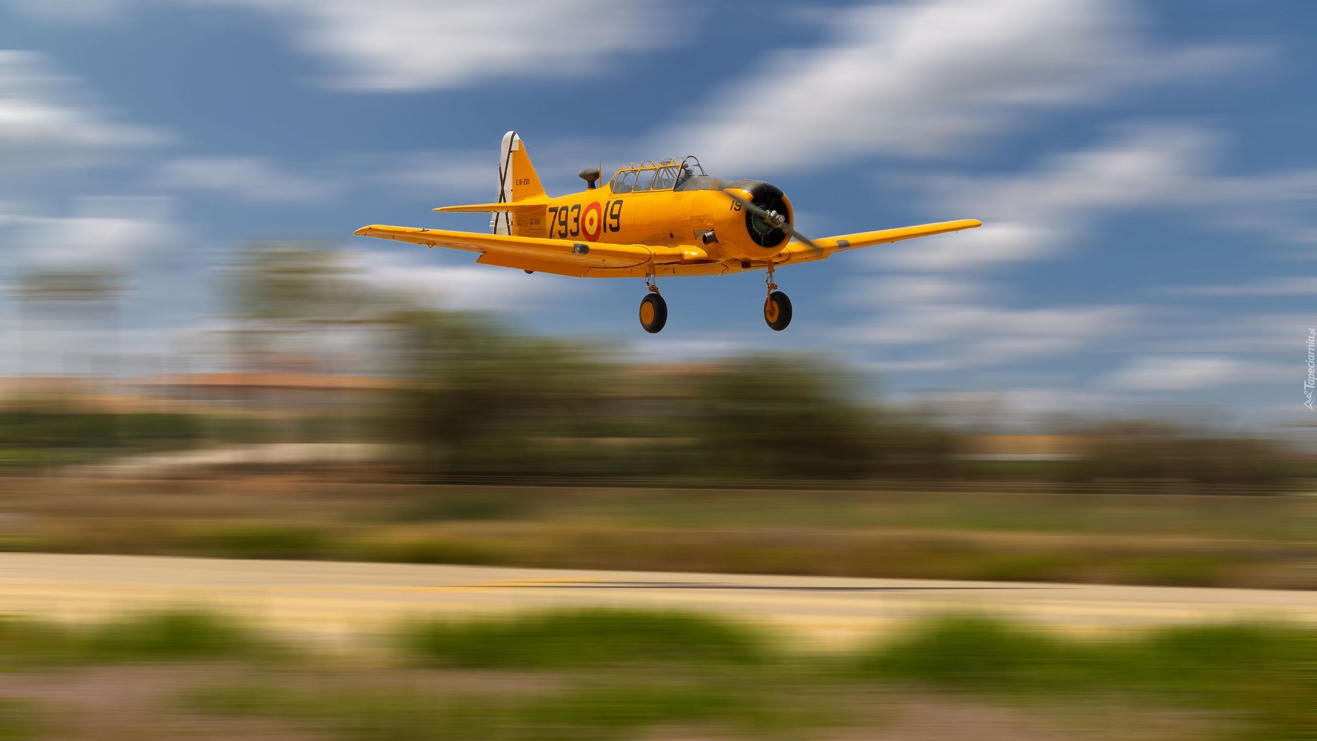 Samolot, Żółty, North American T-6 Texan