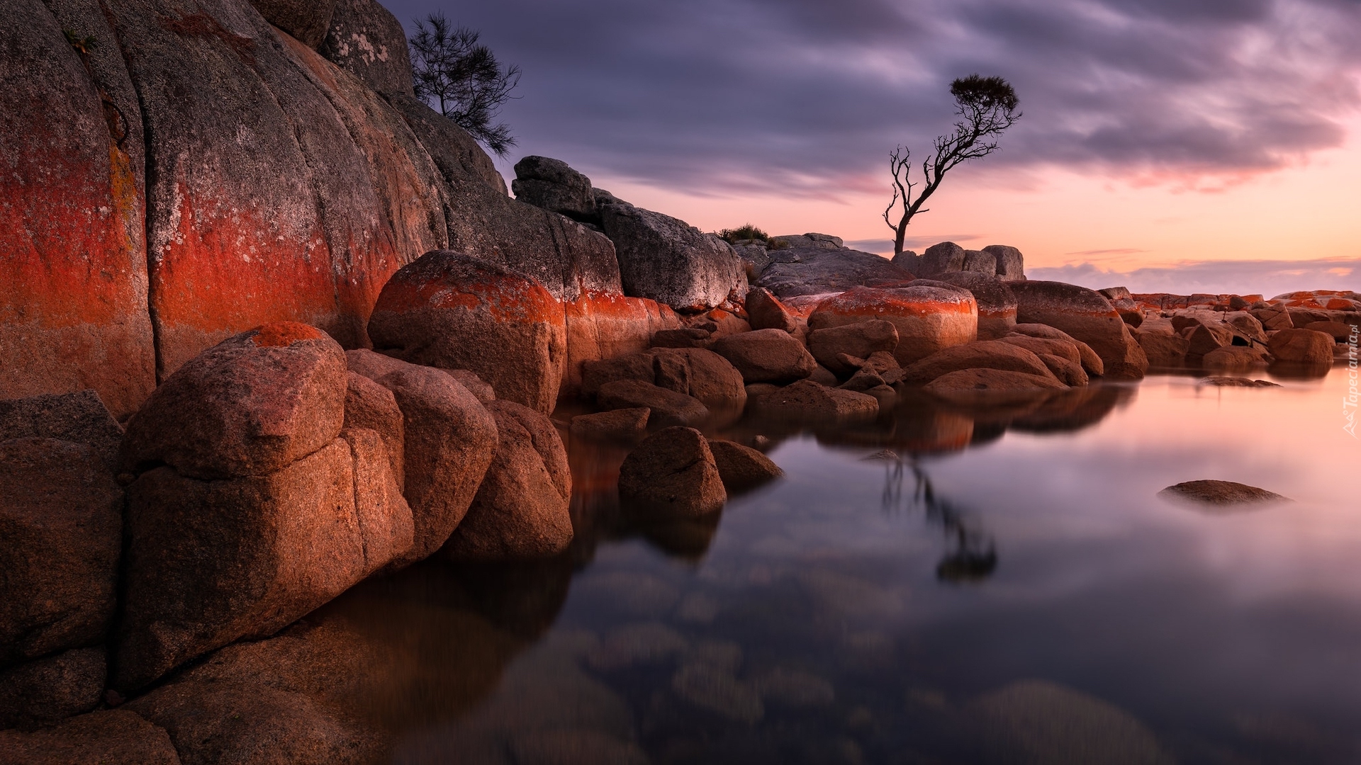 Australia, Tasmania, Binalong Bay, Morze, Skały, Głazy, Drzewo, Wschód słońca, Chmury