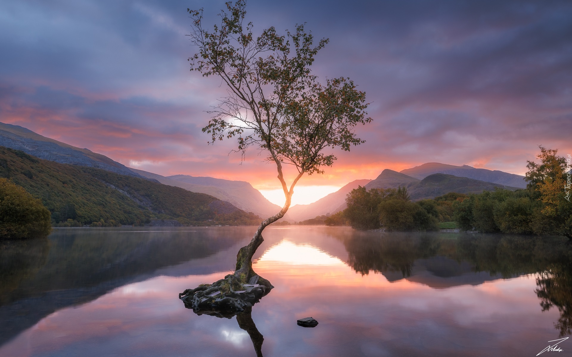 Walia, Jezioro, Llyn Padarn, Kamienie, Snowdonia, Góry, Drzewo, Zachód słońca