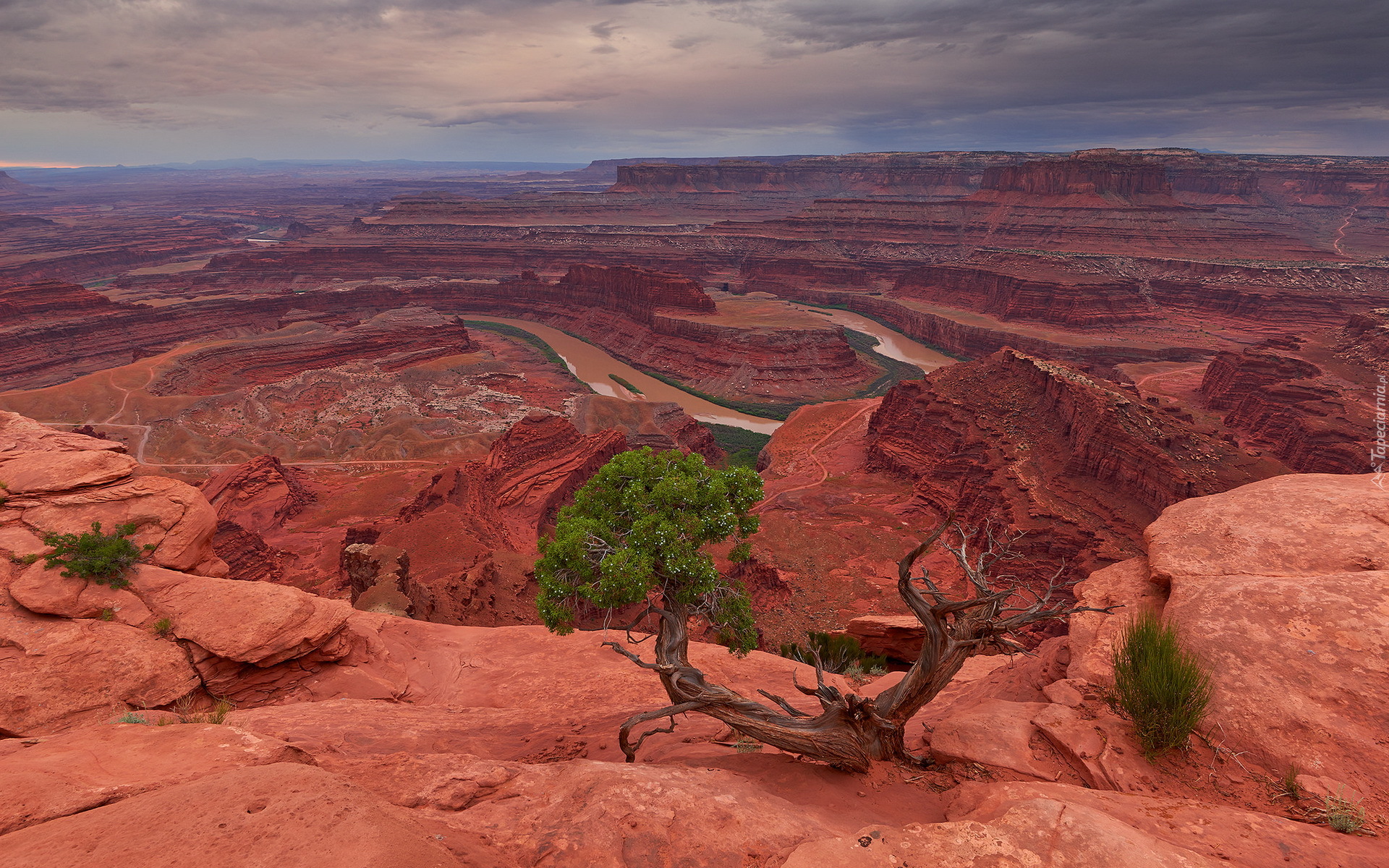 Kanion, Park stanowy Dead Horse Point