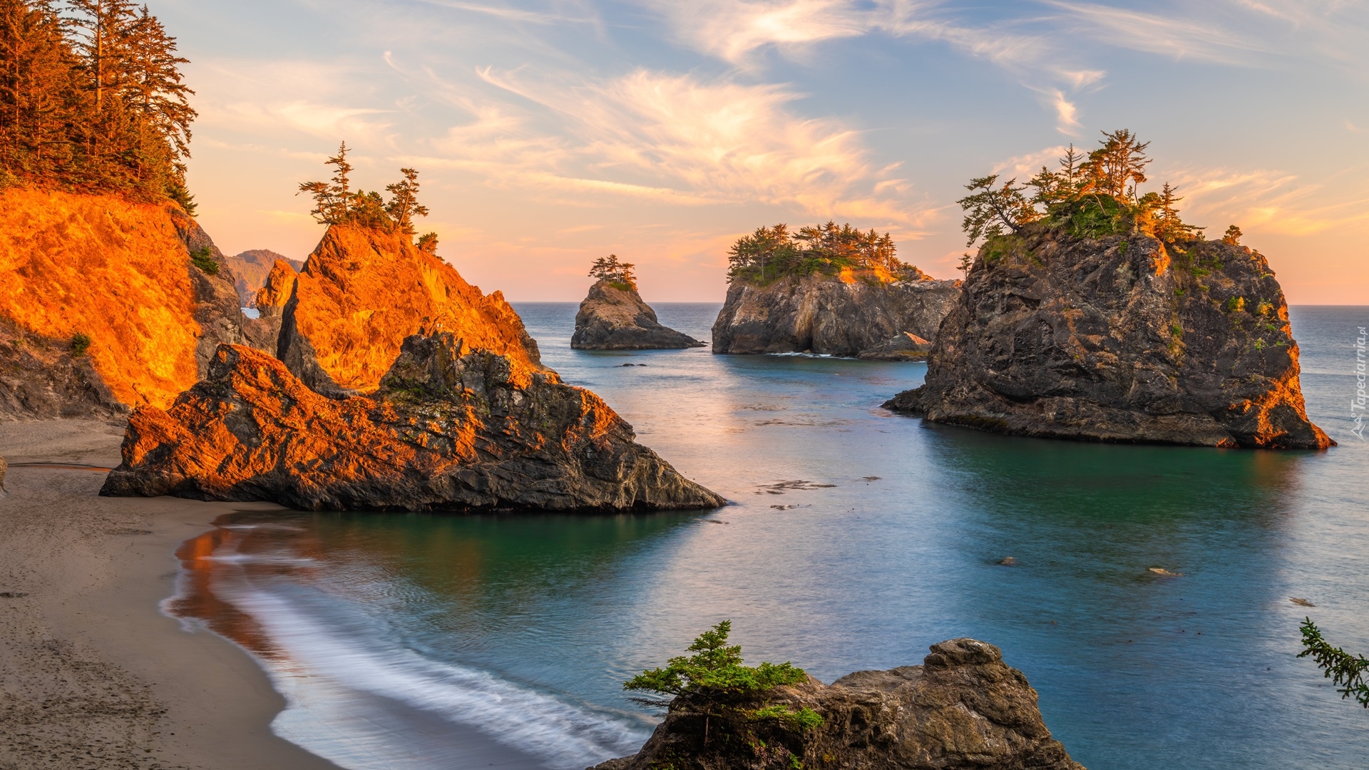 Morze, Skały, Drzewa, Park stanowy, Samuel H Boardman State Scenic Corridor, Oregon, Stany Zjednoczone