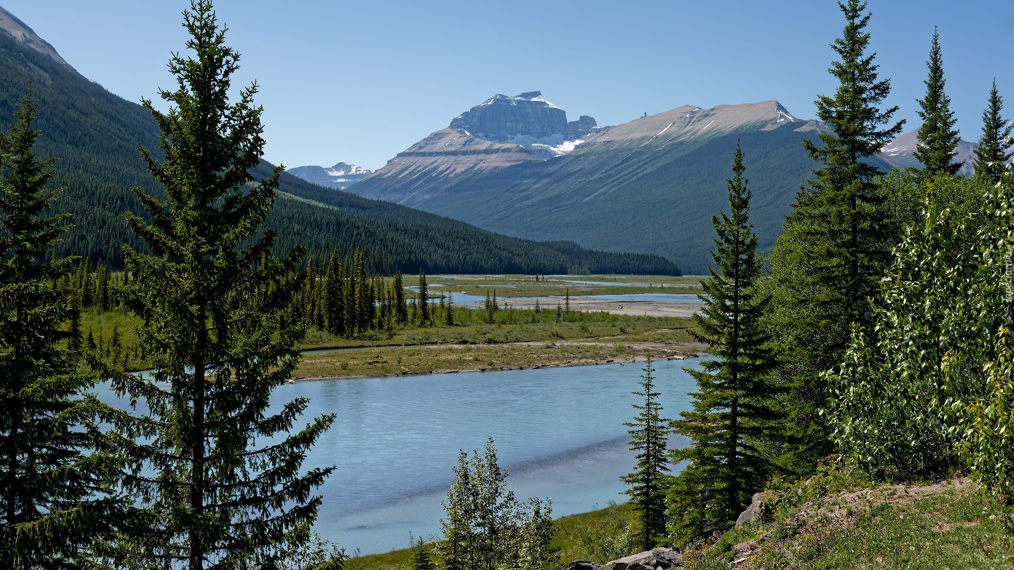 Góry, Canadian Rockies, Rzeka, Saskatchewan River, Drzewa, Park Narodowy Banff, Kanada