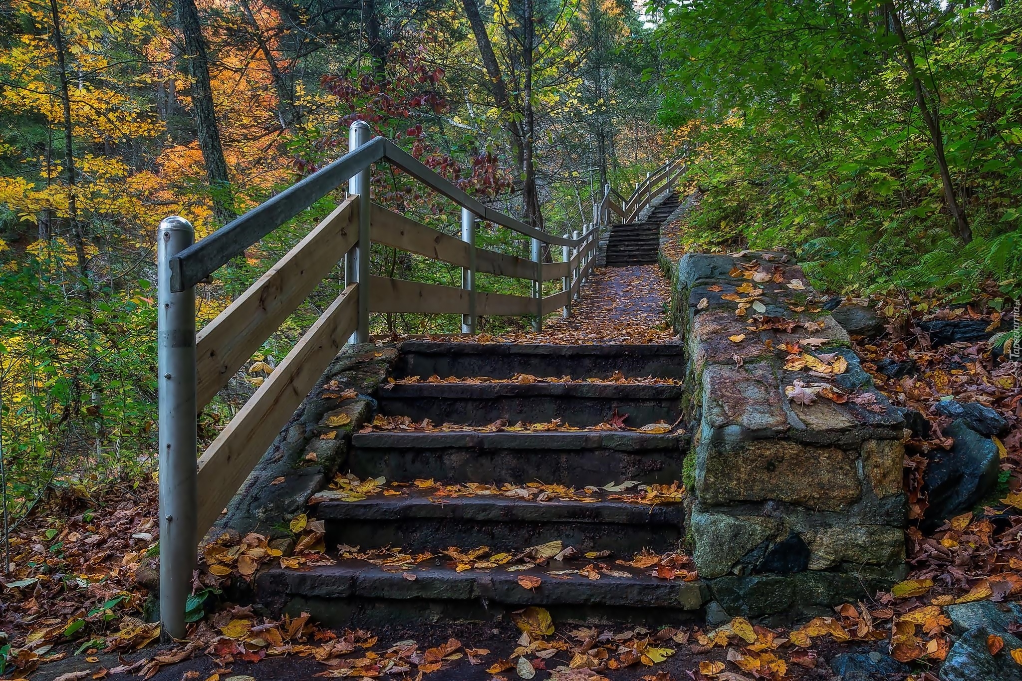 Stany Zjednoczone, Stan Connecticut, Miasto Kent, Park stanowy Kent Falls, Schody, Liście, Drzewa, Jesień