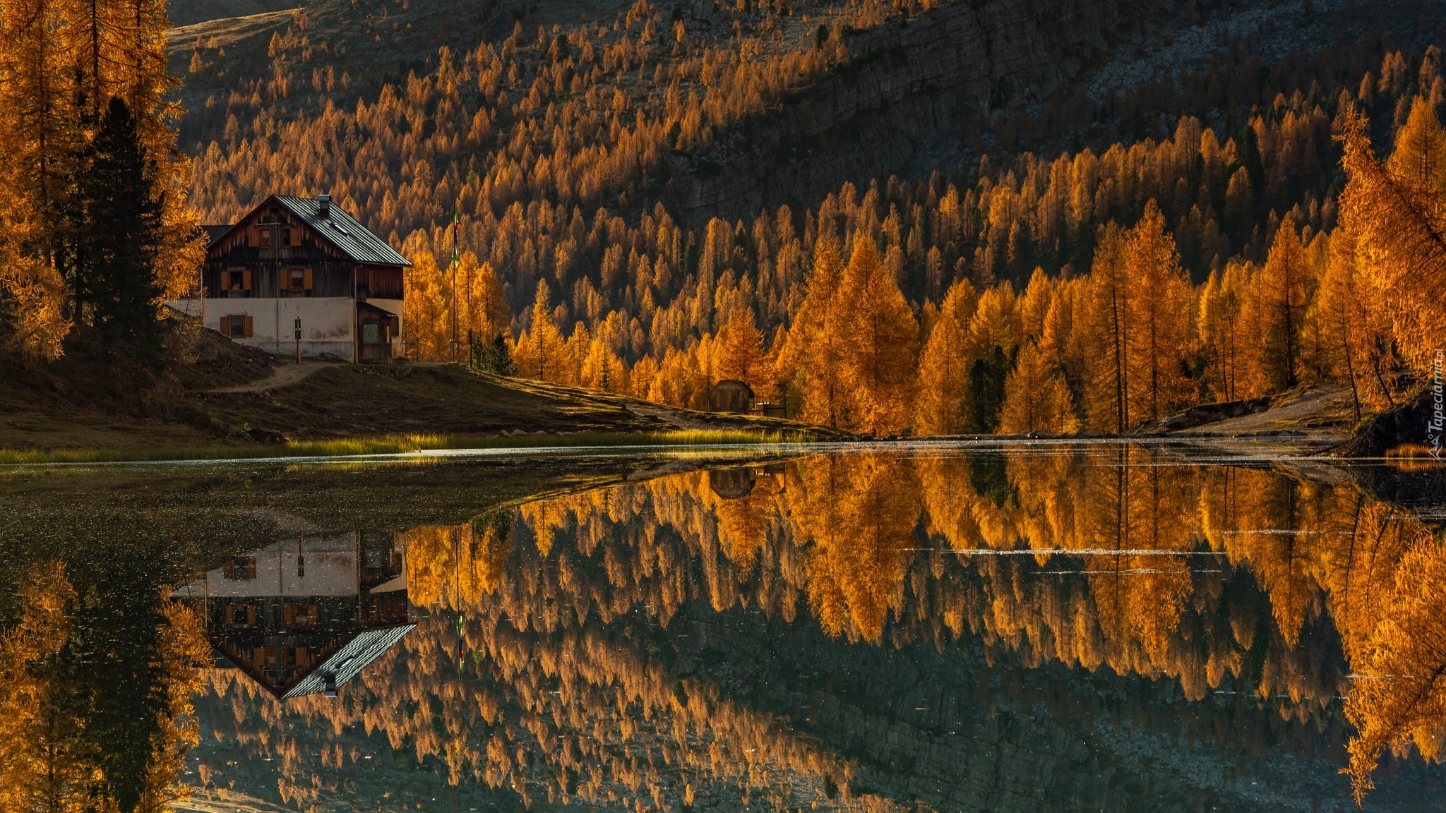 Jesień, Jezioro, Lago Federa, Góra, Dom, Las, Żółte, Drzewa, Modrzewie, Włochy