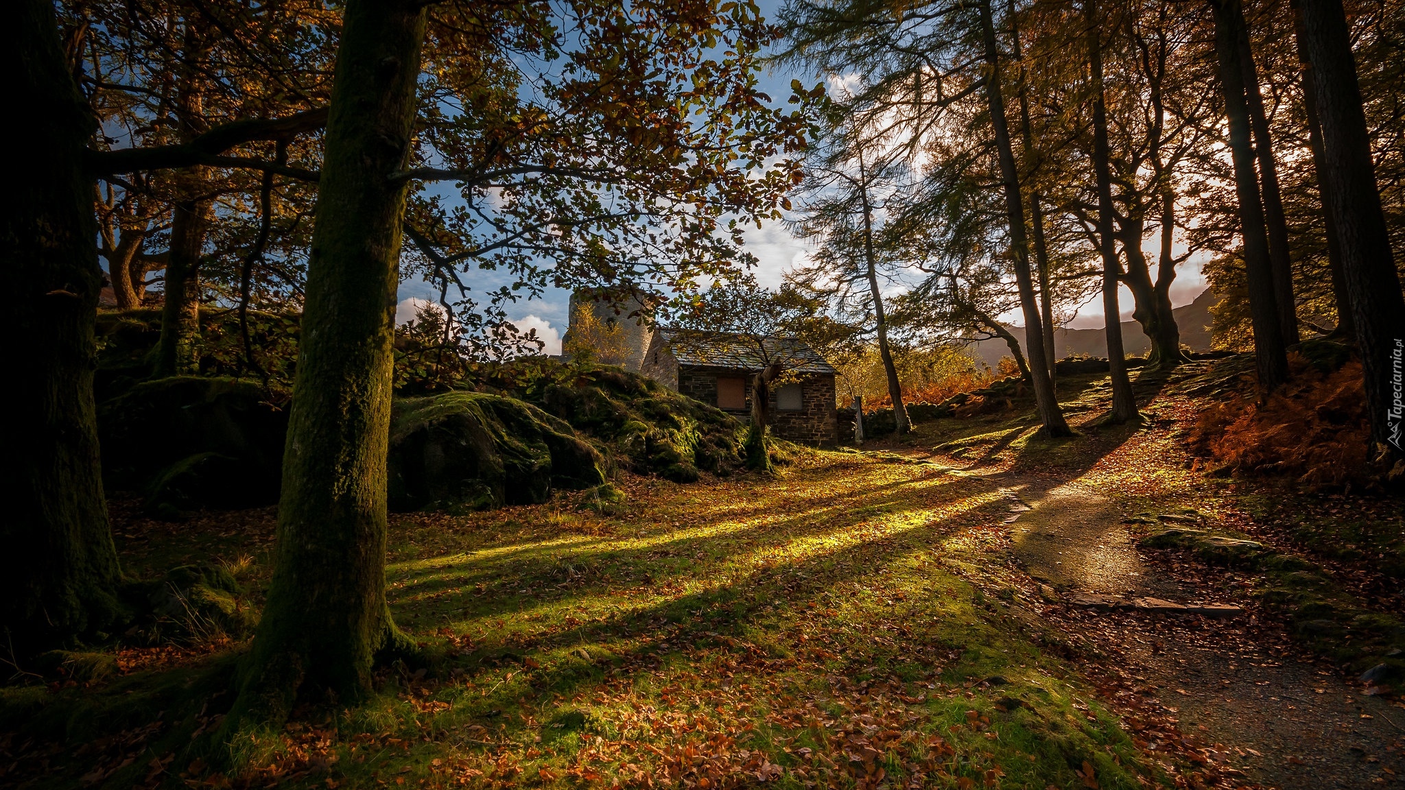 Jesień, Drzewa, Ścieżka, Dom, Wieża, Zamek, Dolbadarn Castle, Park Narodowy Snowdonia, Walia