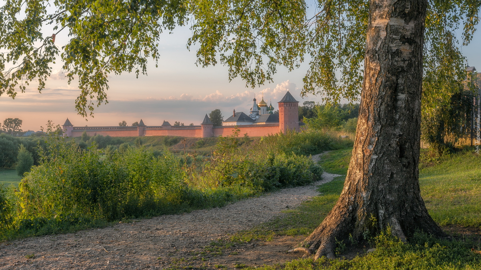 Lato, Drzewo, Ścieżka, Budowla, Mur, Cerkiew