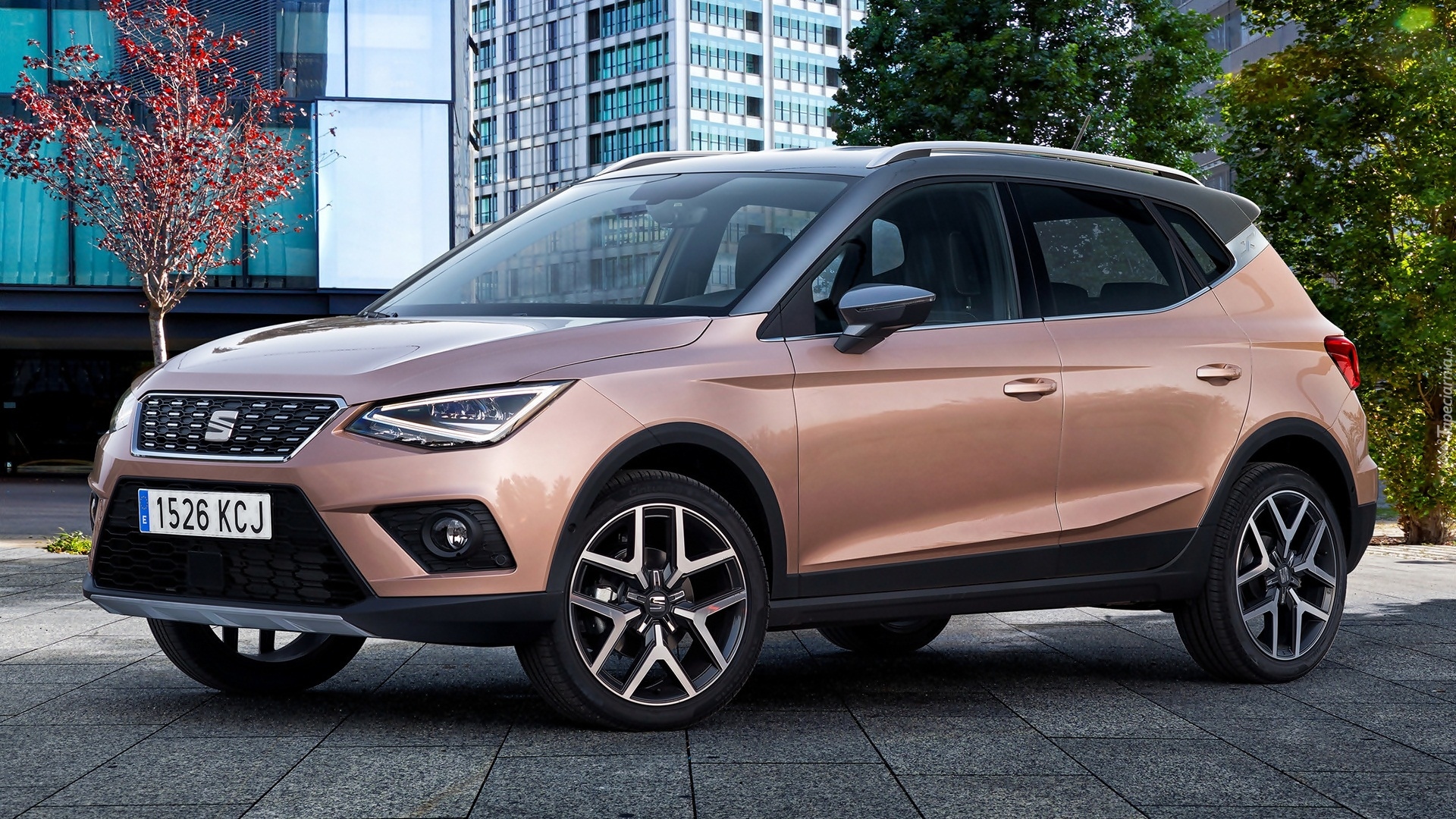 Seat Arona, 2017