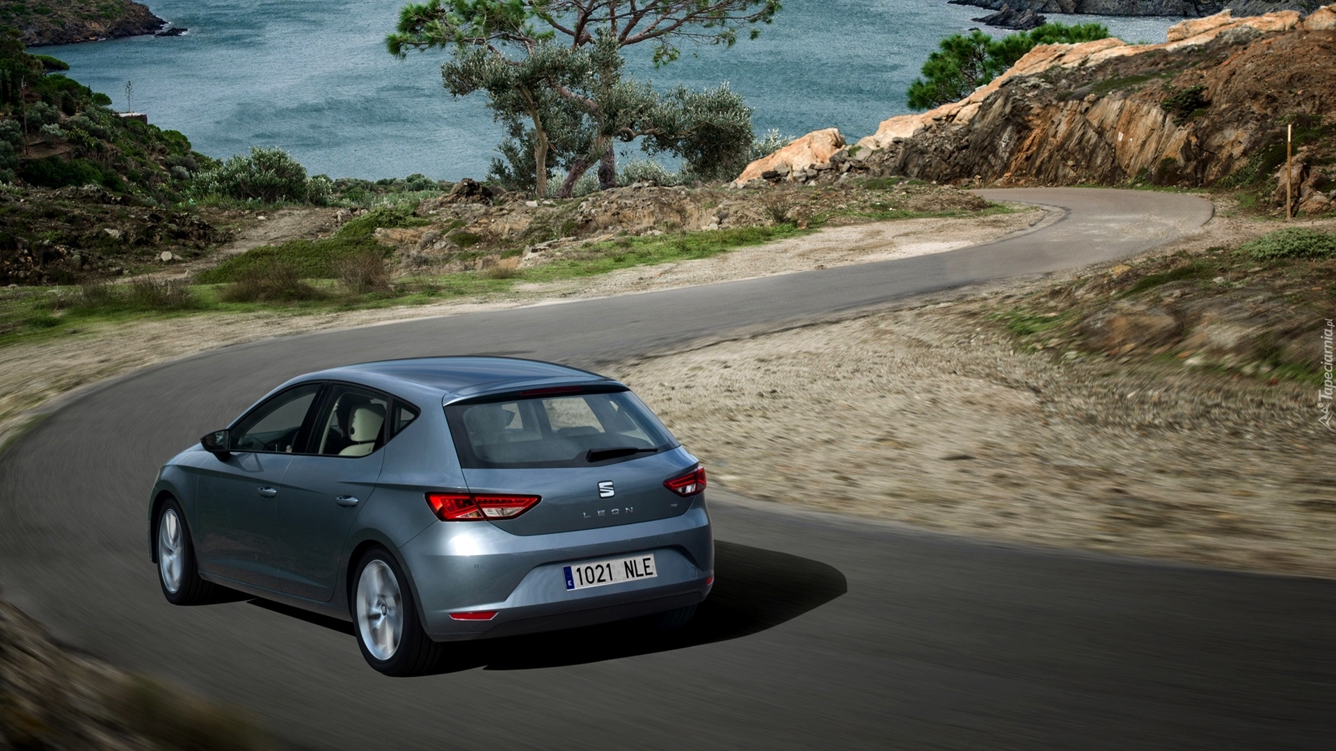 Seat Leon, Droga