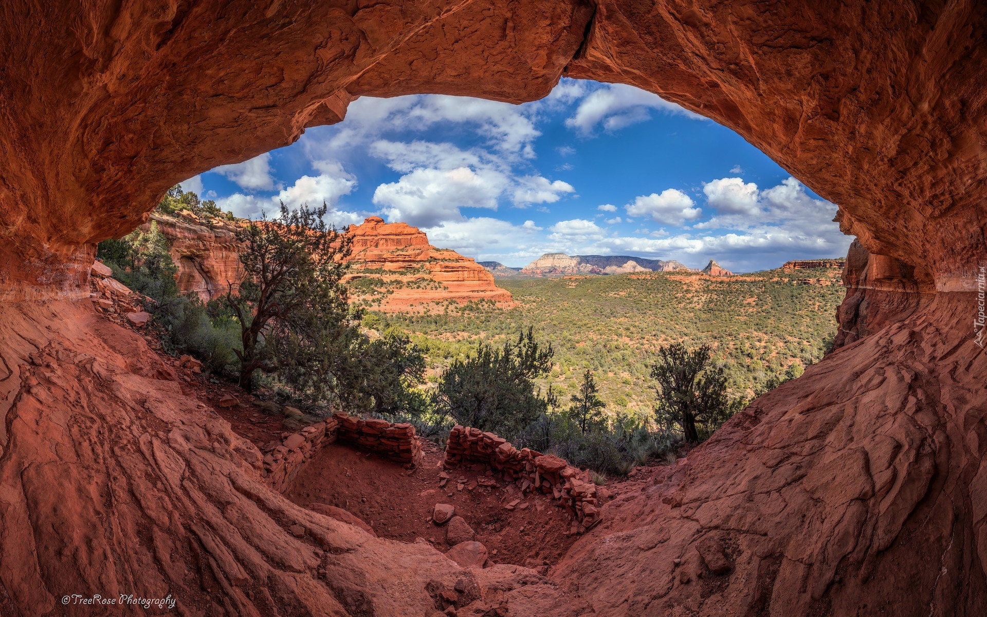 Stany Zjednoczone, Arizona, Sedona, Czerwone, Skały, Drzewa