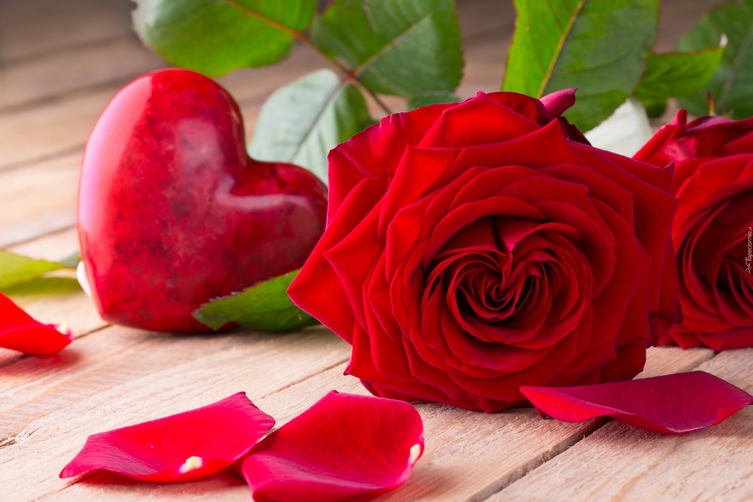 Róża, Płatki, Serce, Walentynki