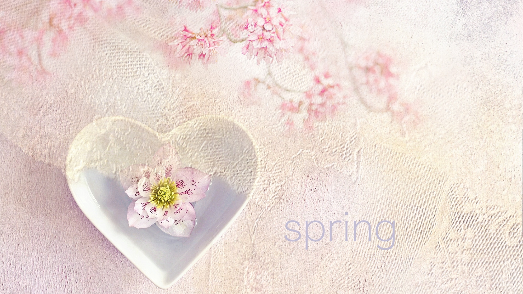 Serce, Różowe, Kwiaty, Napis, Spring