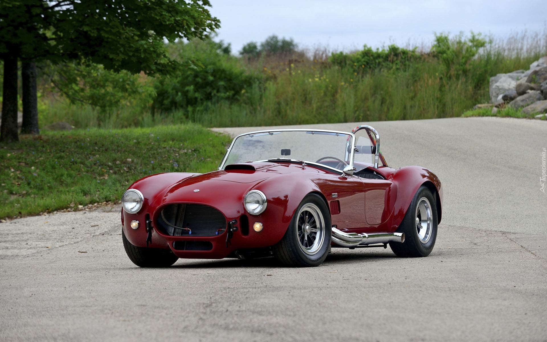 Zabytkowe, Schelby Cobra 427 S/C, 1966