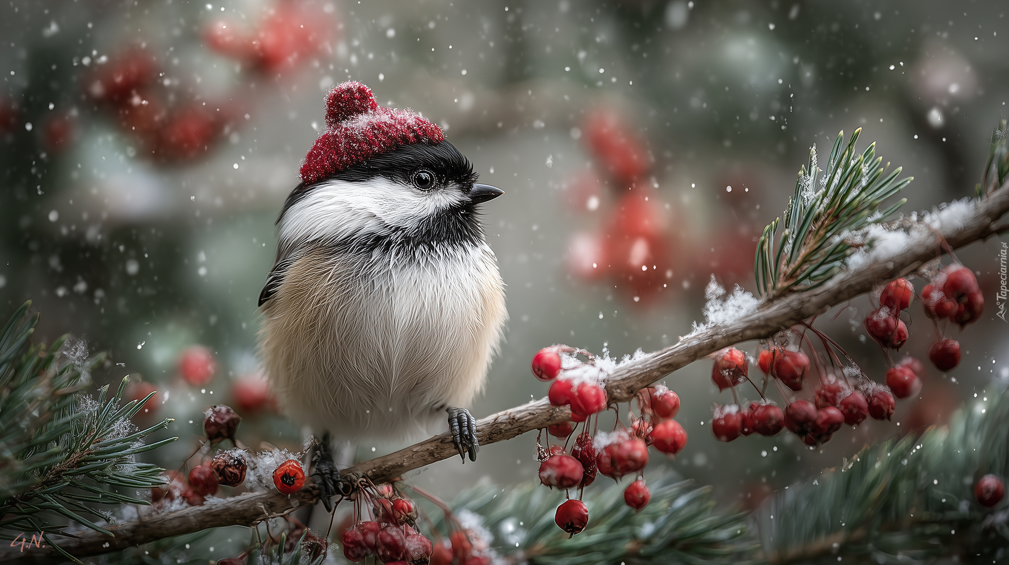 Sikorka czarnogłówka, Czerwona, Czapka, Gałązka, Czerwone owoce, Grafika AI