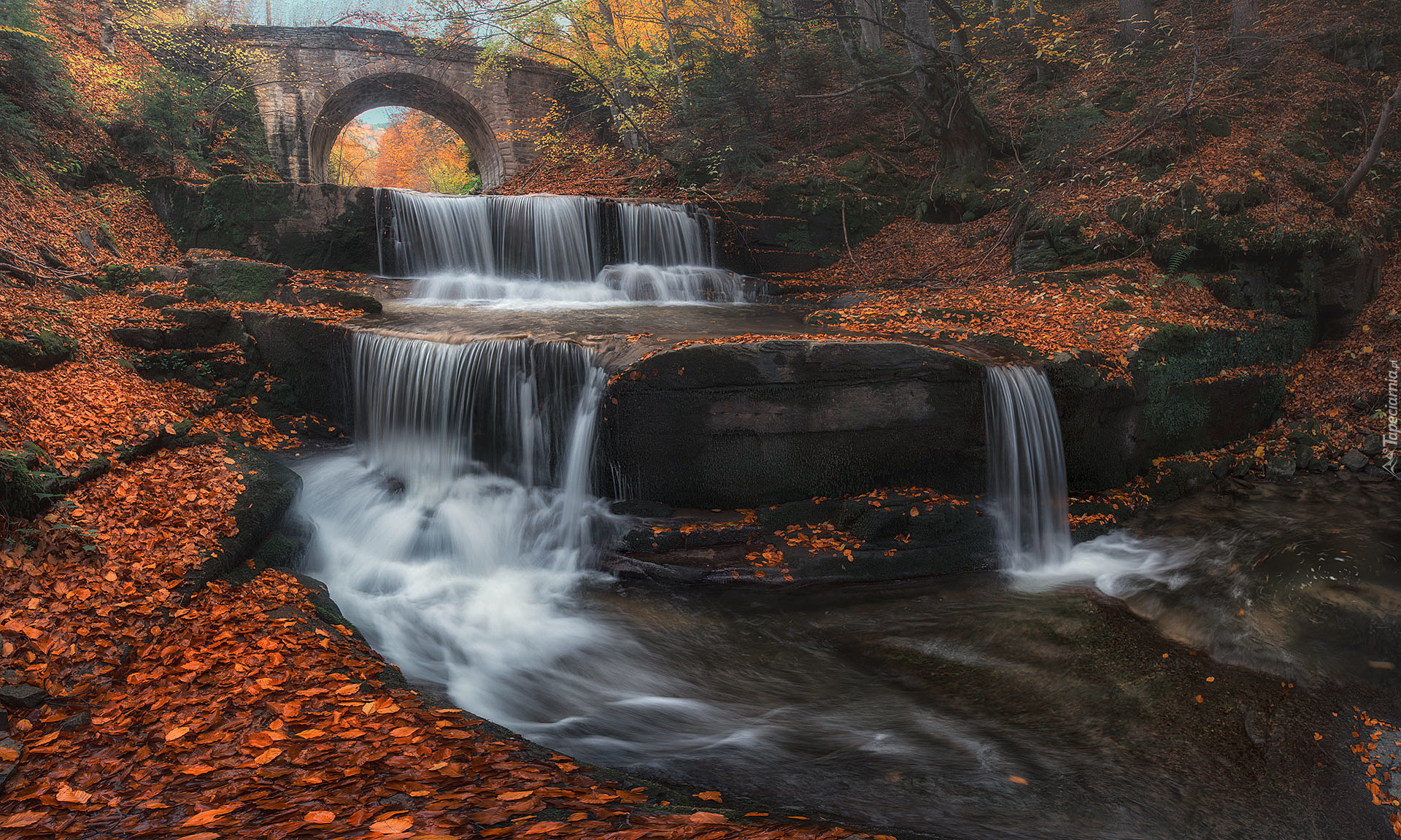 Las, Rzeka, Kaskada, Wodospad, Sitovski Waterfall, Kamienny, Most, Jesień, Liście, Miejscowość Sitowo, Bułgaria