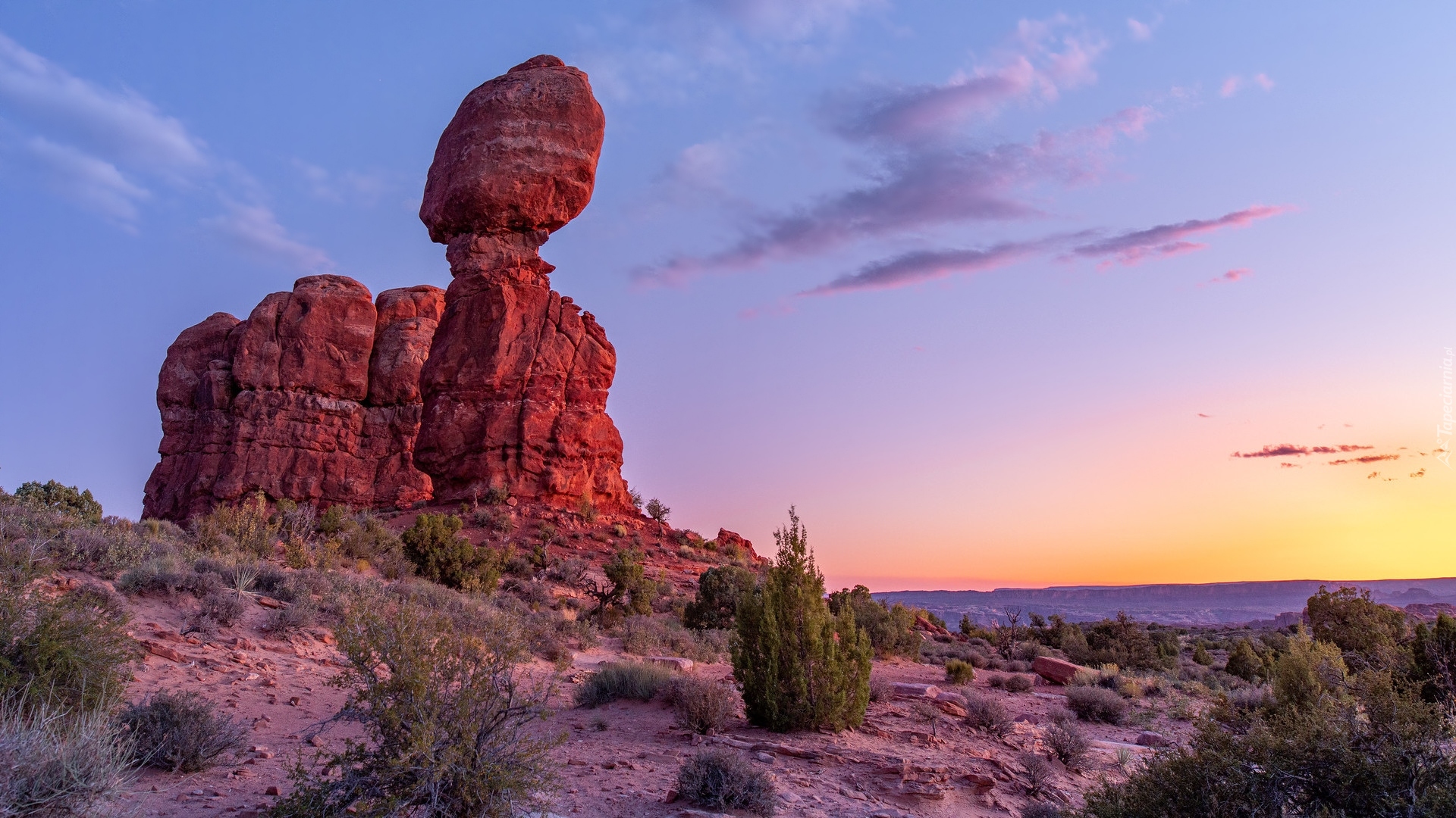 Wschód słońca, Skała, Balanced Rock, Krzewy, Park Narodowy Arches, Utah, Stany Zjednoczone