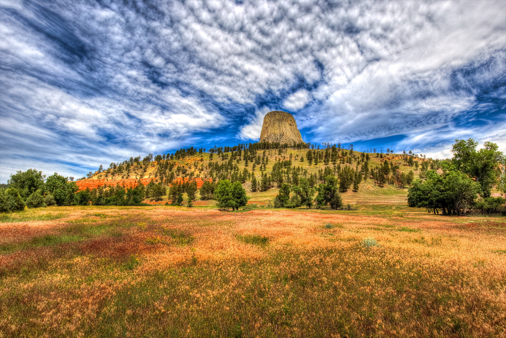 Góra, Skała Devils Tower, Wzgórze, Drzewa, Chmury, Stan Wyoming, Stany Zjednoczone