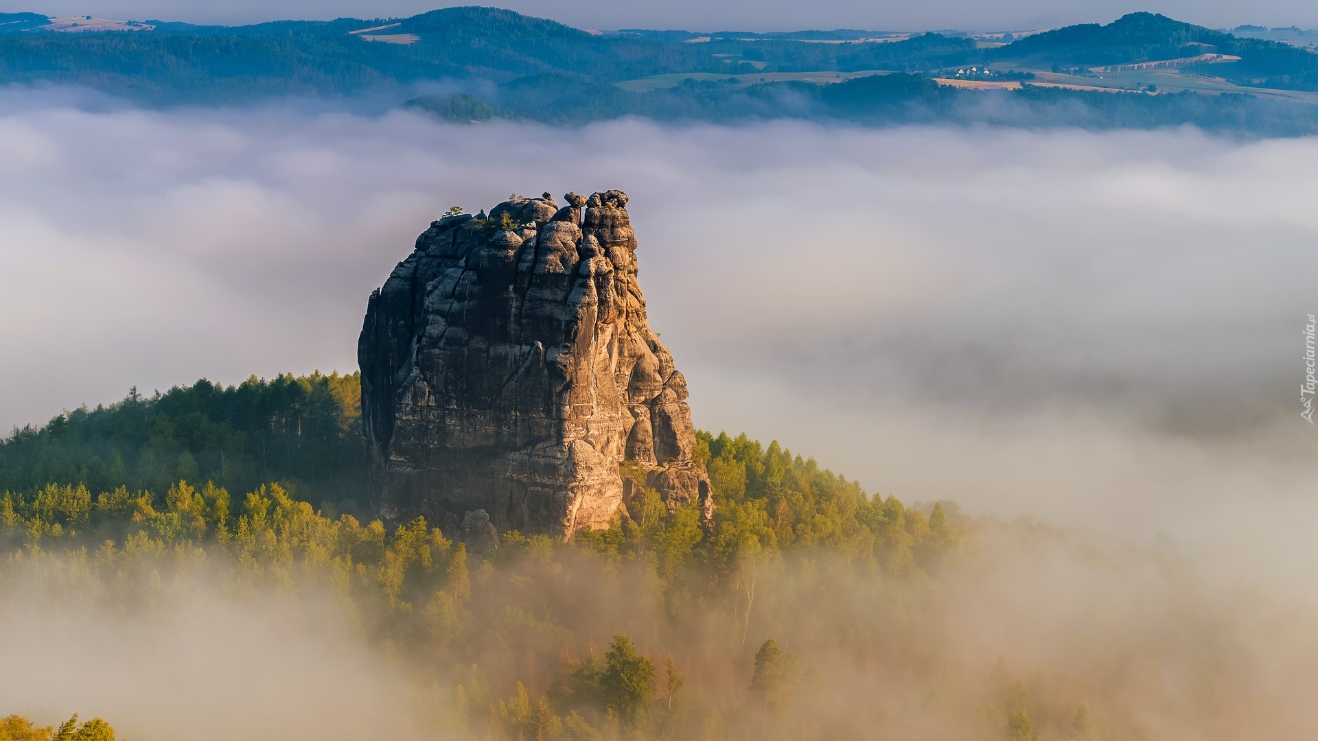 Skała, Falkenstein, Mgła, Drzewa, Góry Połabskie, Niemcy