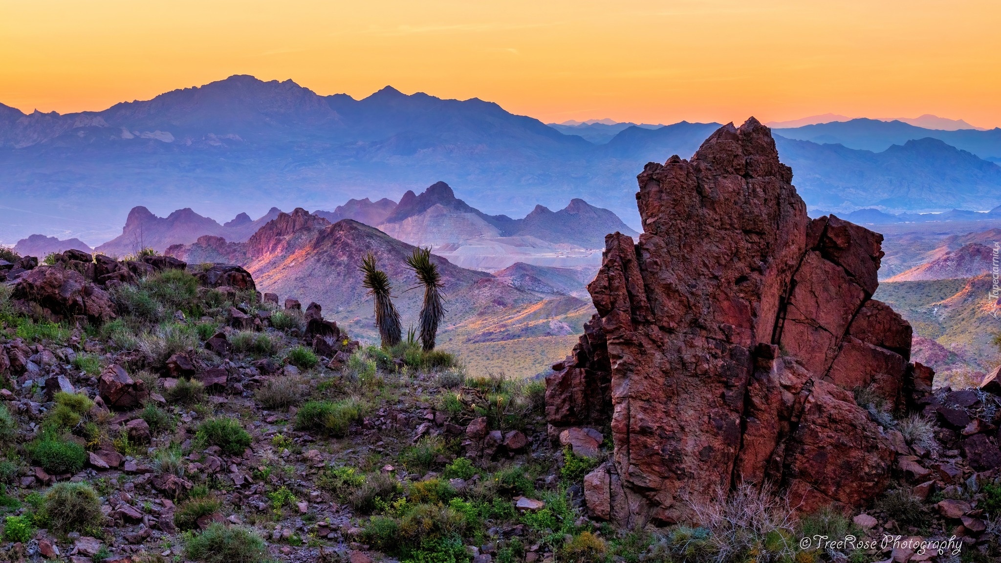 Stany Zjednoczone, Arizona, Oatman, Góry, Skały, Roślinność