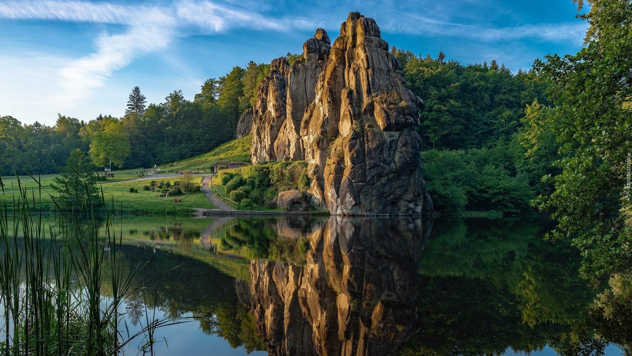 Skała, Jezioro, Drzewa