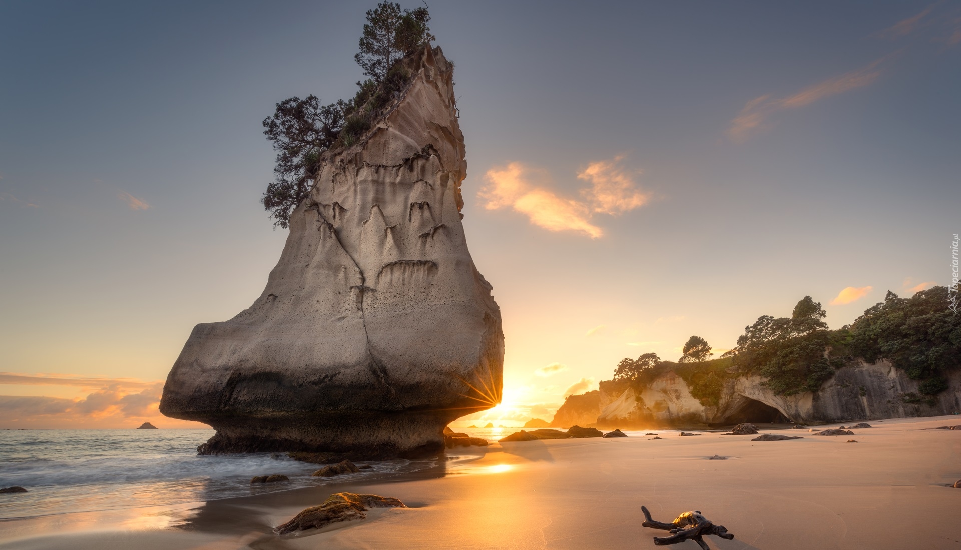 Morze, Skała, Te Hoho Rock, Plaża, Drzewa, Wschód słońca, Półwysep Coromandel, Nowa Zelandia