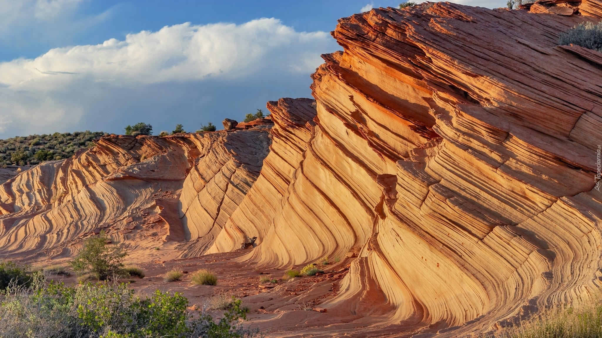 Skała The Wave, Kanion, Waterholes Canyon, Arizona, Stany Zjednoczone