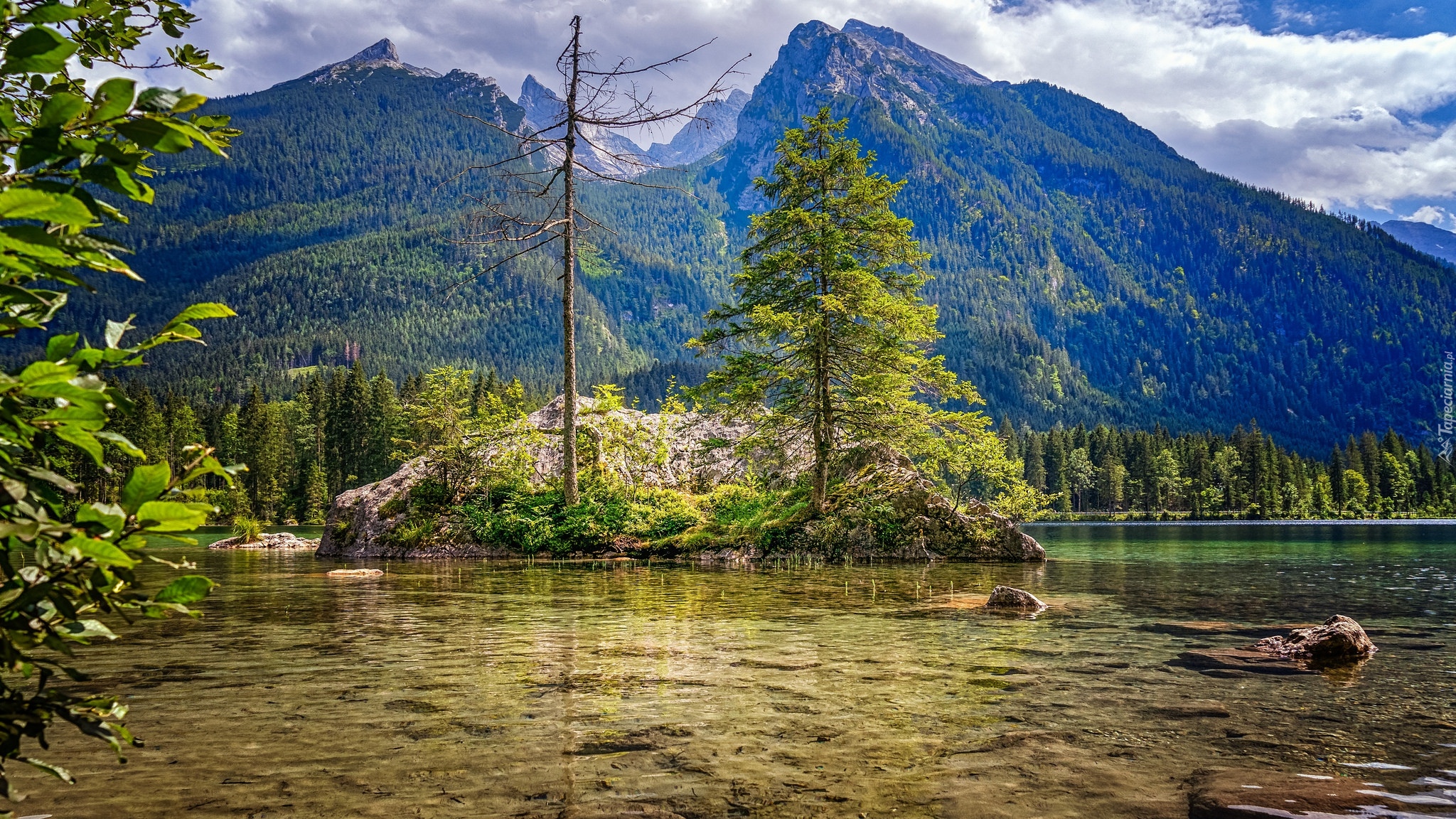 Góry, Alpy, Skały, Drzewa, Jezioro Hintersee, Bawaria, Niemcy