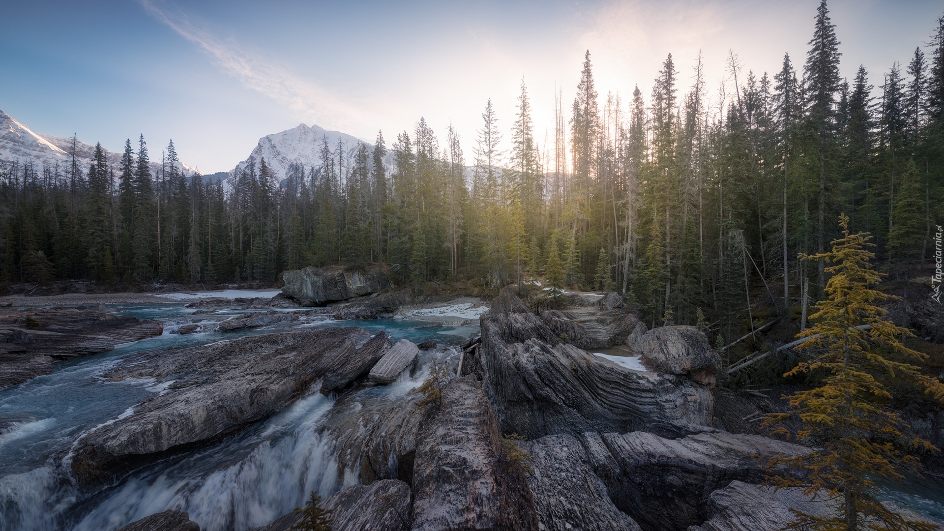 Góry, Canadian Rockies, Park Narodowy Yoho, Kolumbia Brytyjska Kanada, Drzewa, Las, Rzeka, Skały