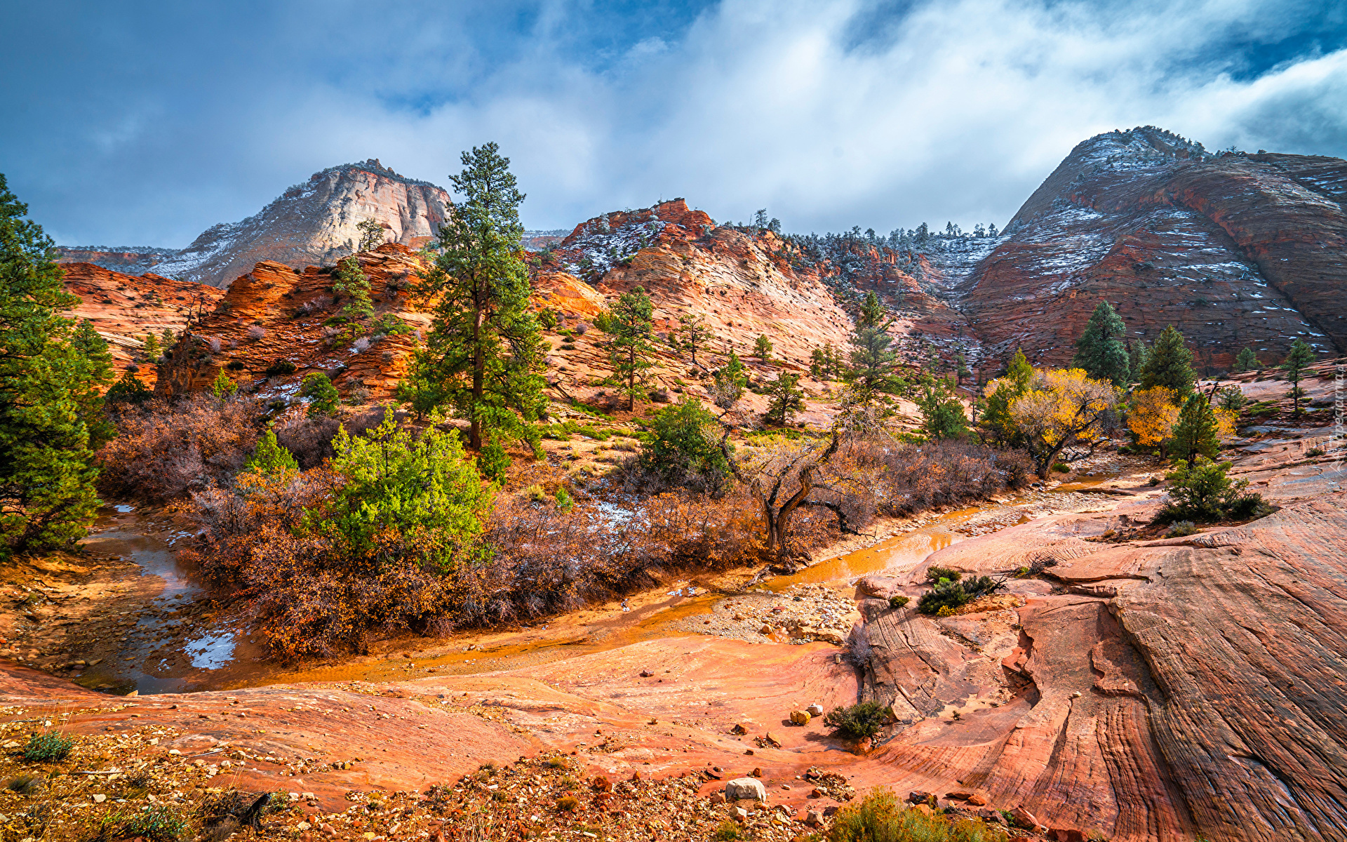 Park Narodowy Zion, Góry, Skały, Utah, Stany Zjednoczone