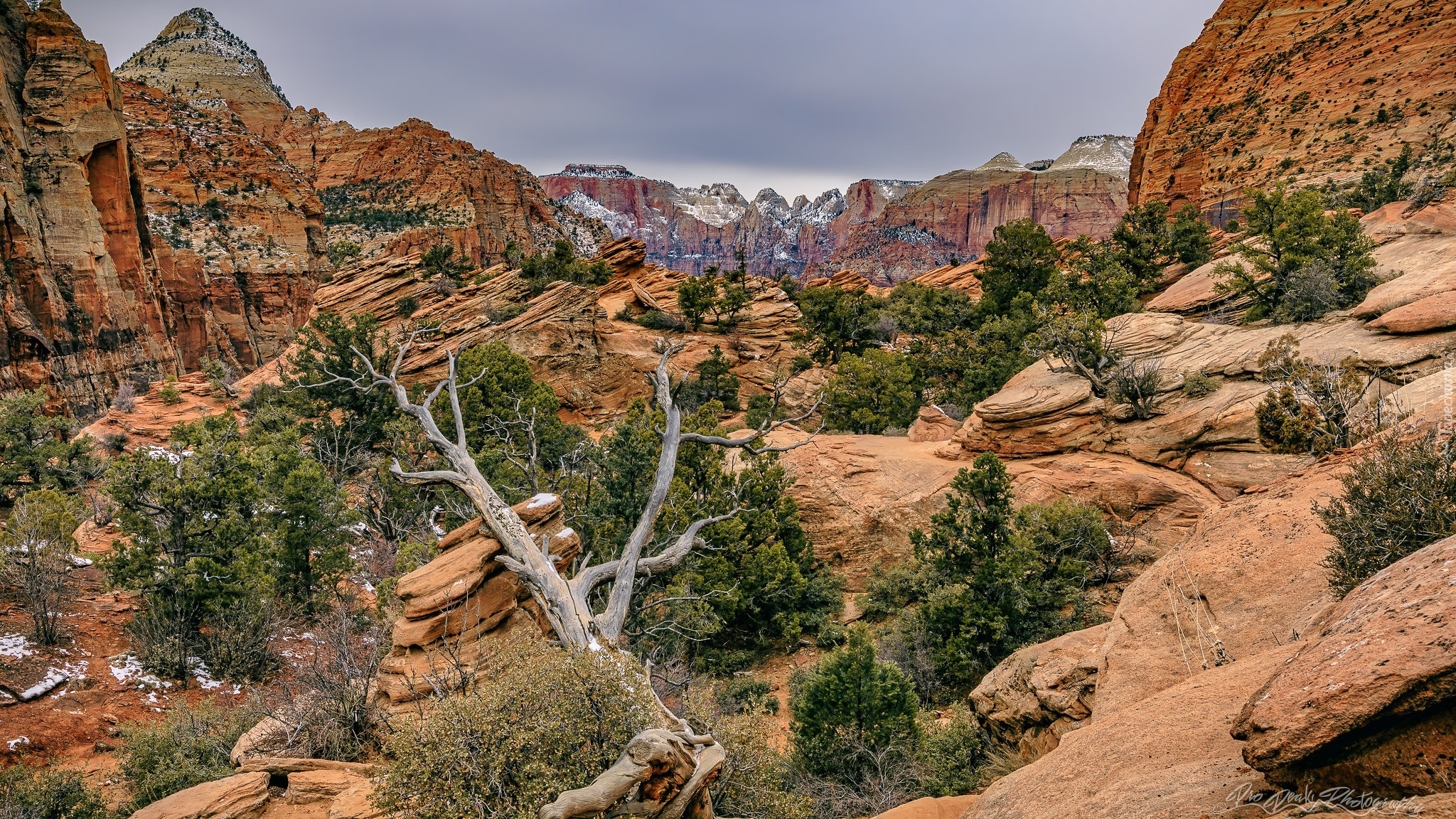 Stany Zjednoczone, Utah, Park Narodowy Zion, Góry, Skały