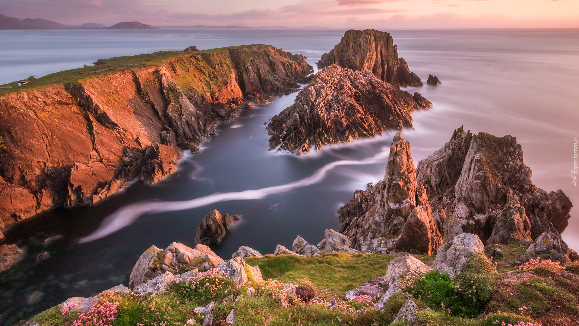 Morze, Skały, Wschód słońca, Roślinność, Hrabstwo Donegal, Irlandia
