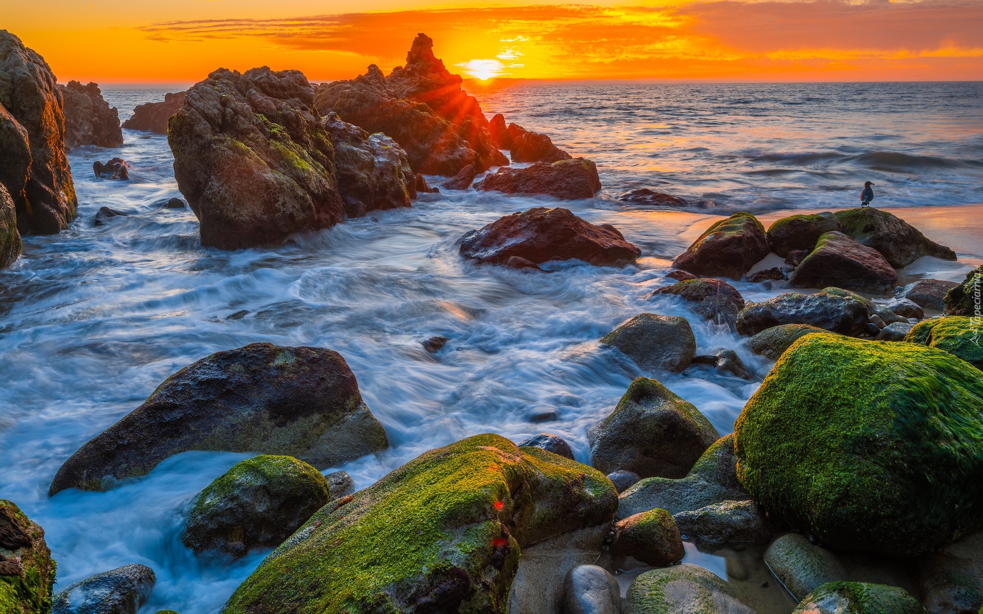 Zachód słońca, Morze, Kamienie, Ptak, Omszałe, Skały, Przylądek Point Mugu, Malibu, Kalifornia, Stany Zjednoczone