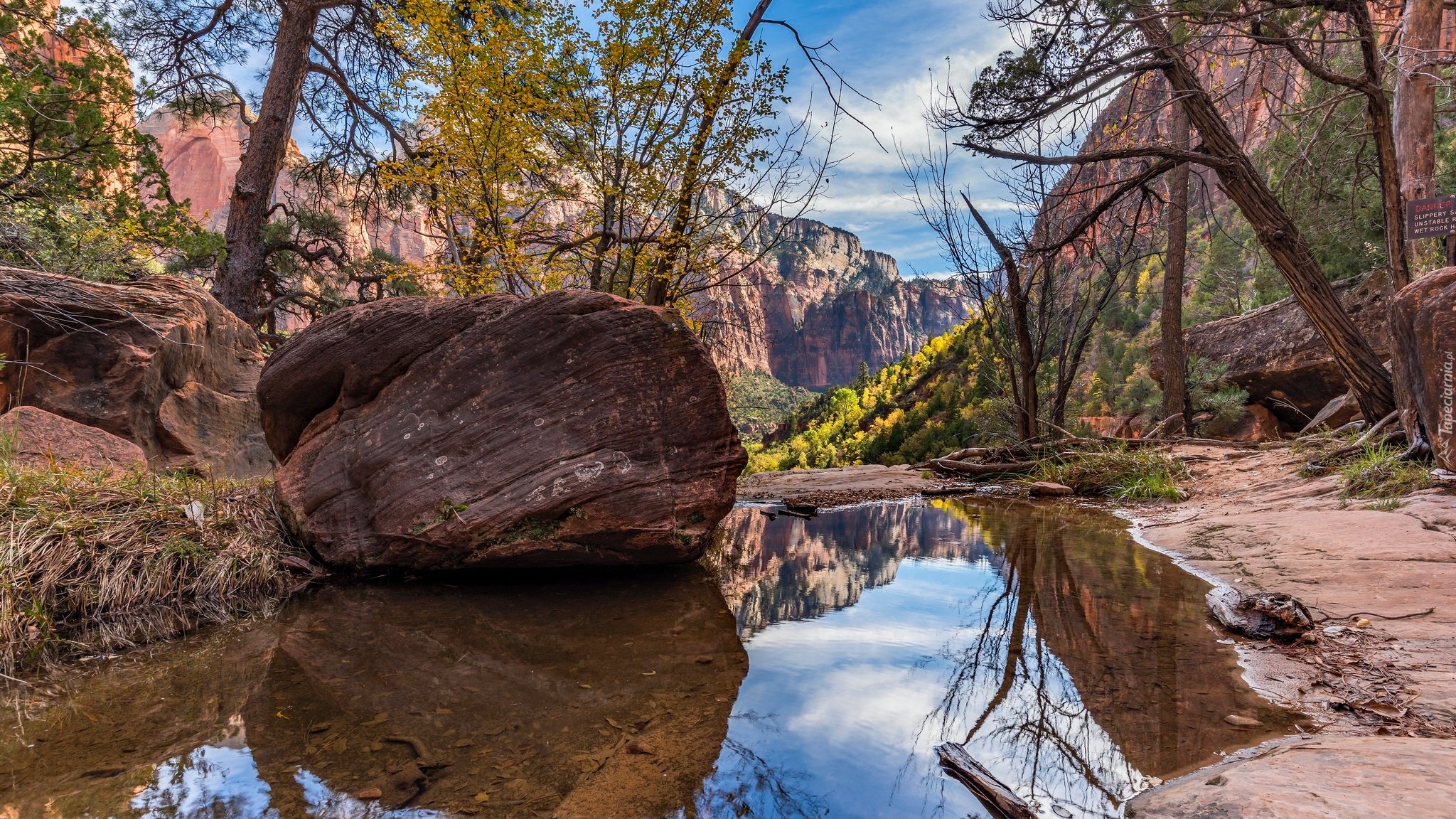 Góry, Kanion, Kałuża, Drzewa, Skały, Park Narodowy Zion, Stan Utah, Stany Zjednoczone