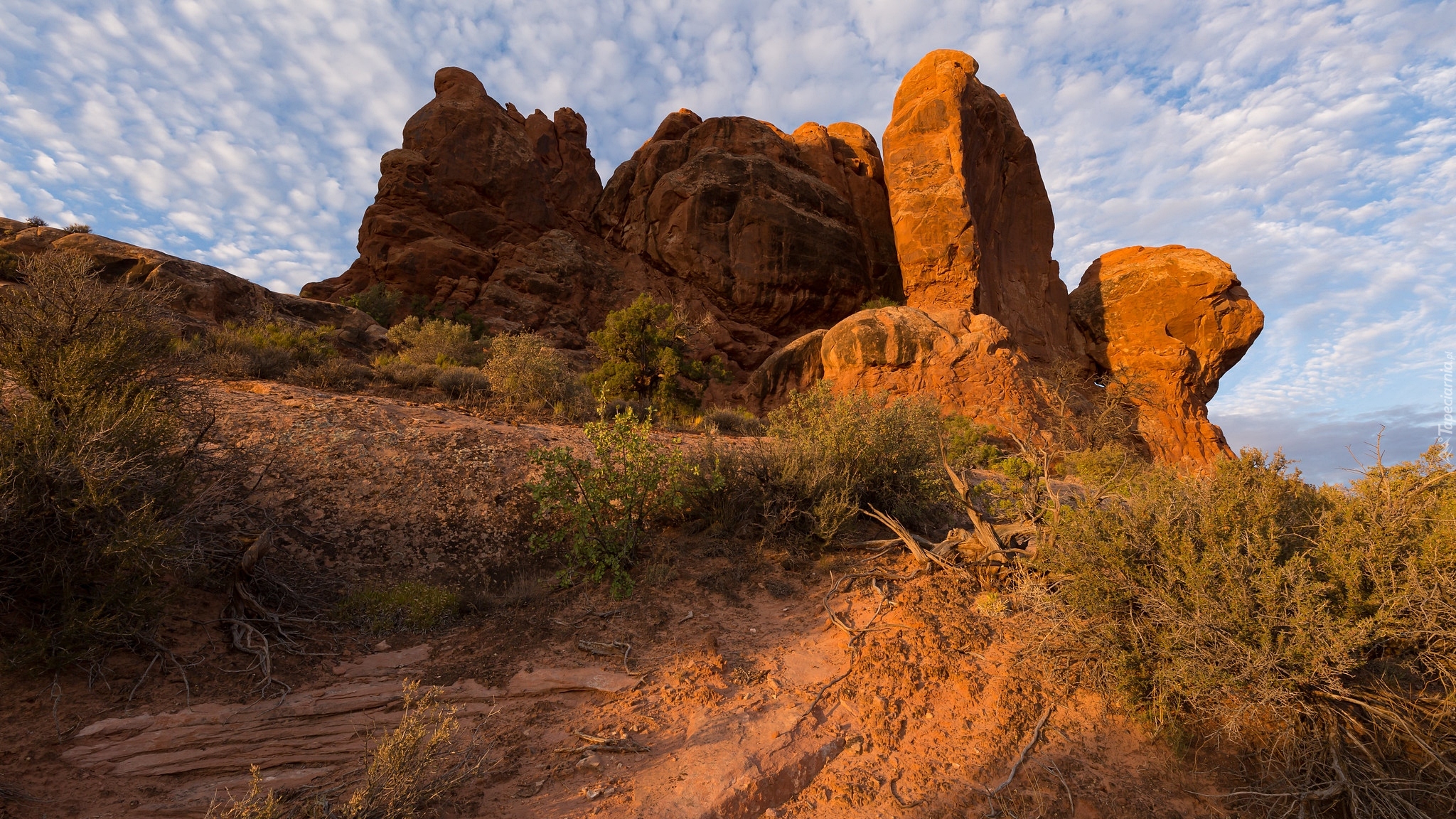 Skały, Krzewy, Formacje, Turret Arch, Park Narodowy Arches, Utah, Stany Zjednoczone