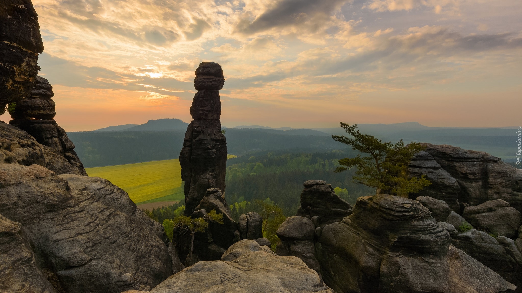 Skały, Formacja, Drzewa, Góry Połabskie, Park Narodowy Saskiej Szwajcarii, Niemcy