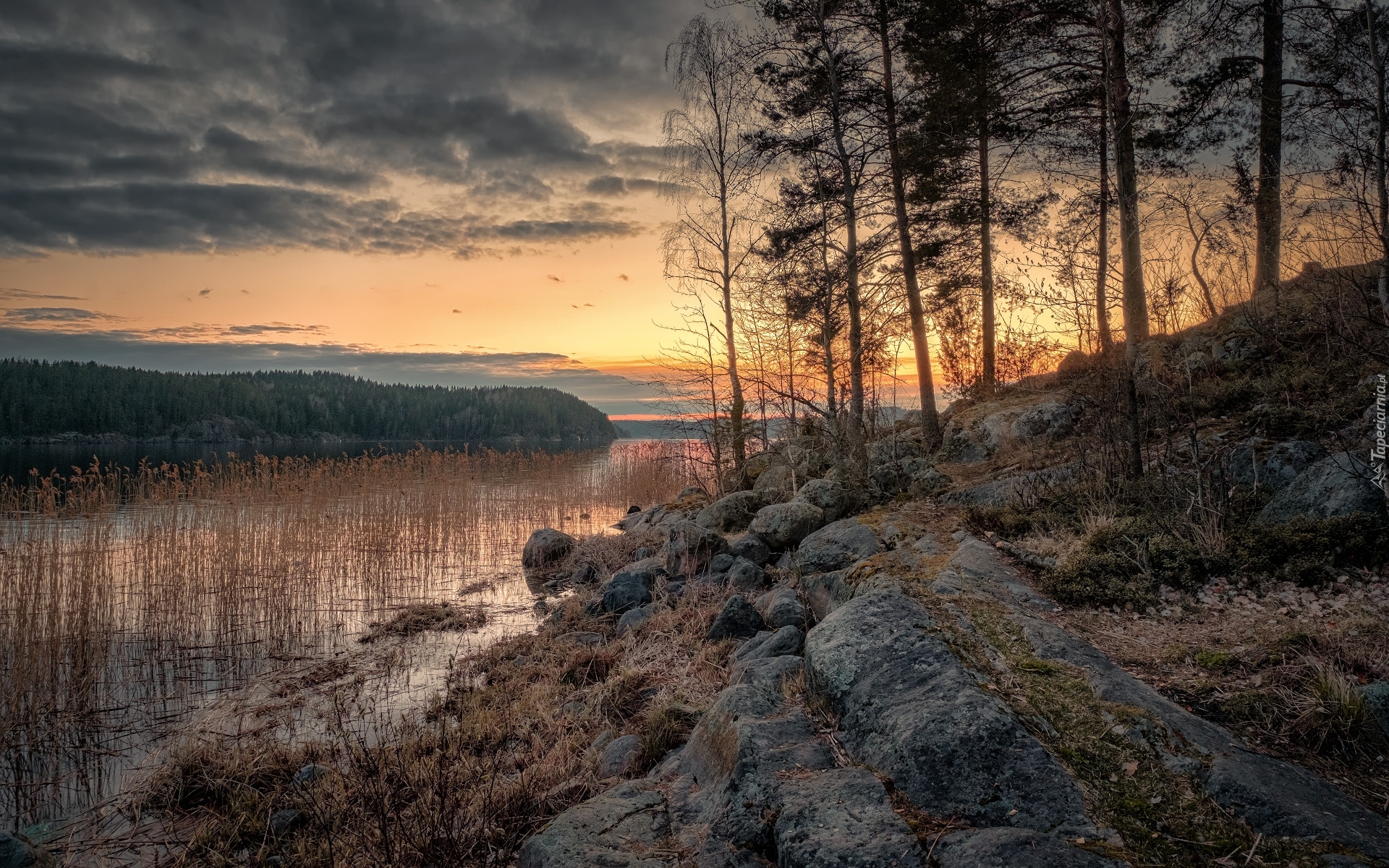 Zachód słońca, Jezioro Ładoga, Skały, Drzewa, Chmury, Szuwary, Karelia, Rosja