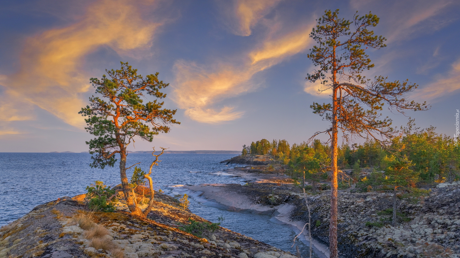 Drzewa, Skały, Jezioro Ładoga, Karelia, Rosja