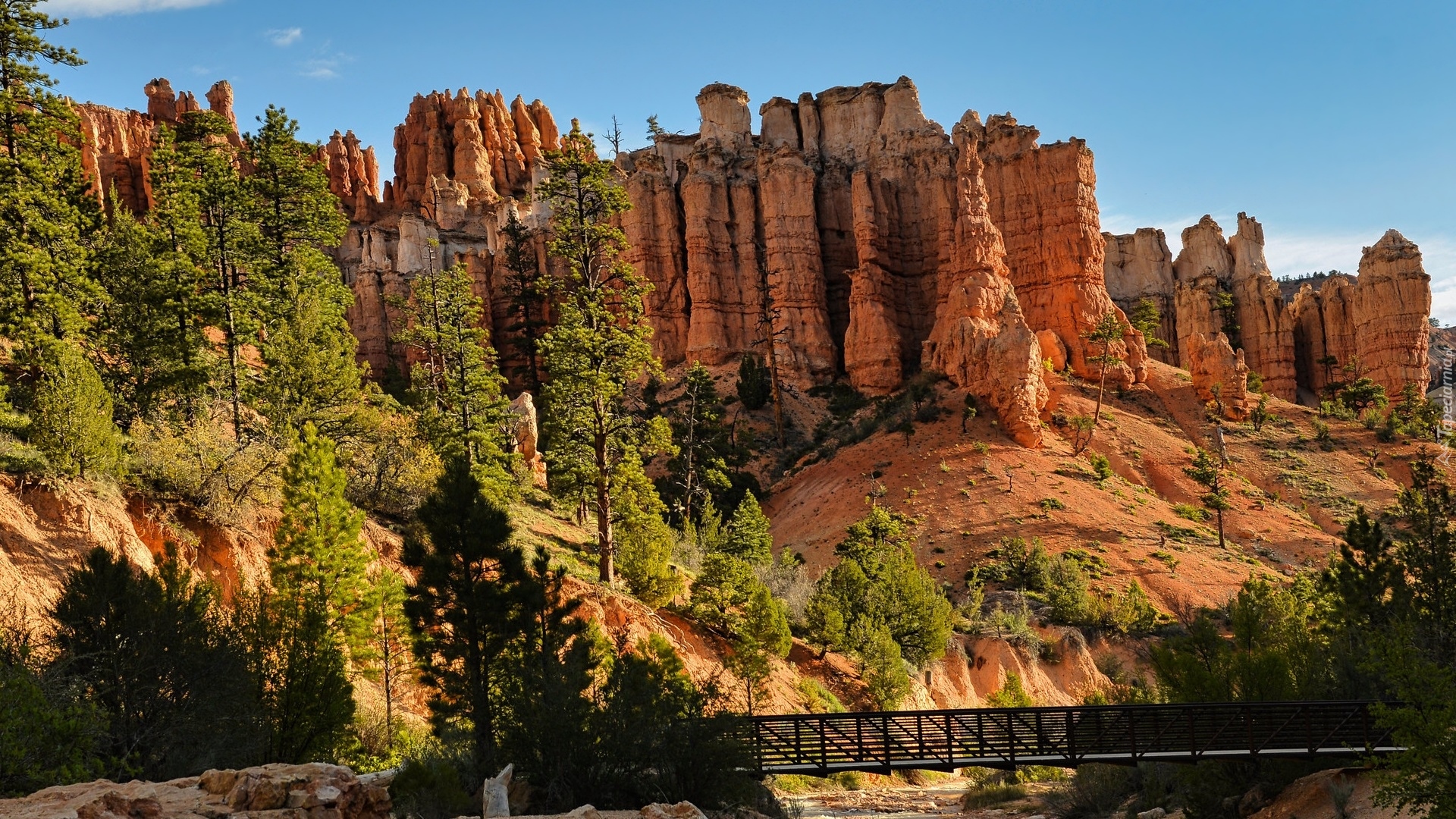 Skały, Drzewa, Most, Park Narodowy Bryce Canyon, Utach, Stany Zjednoczone