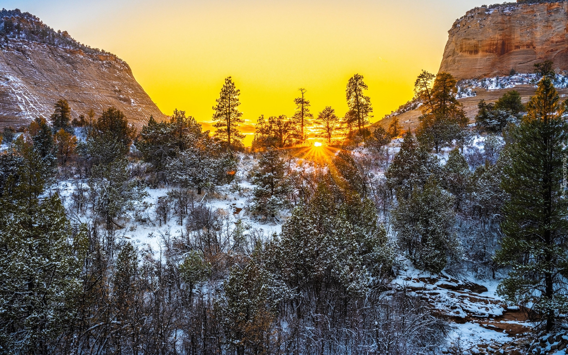 Park Narodowy Zion, Stan Utah, Stany Zjednoczone, Zima, Śnieg, Drzewa, Góry, Skały, Promienie słońca