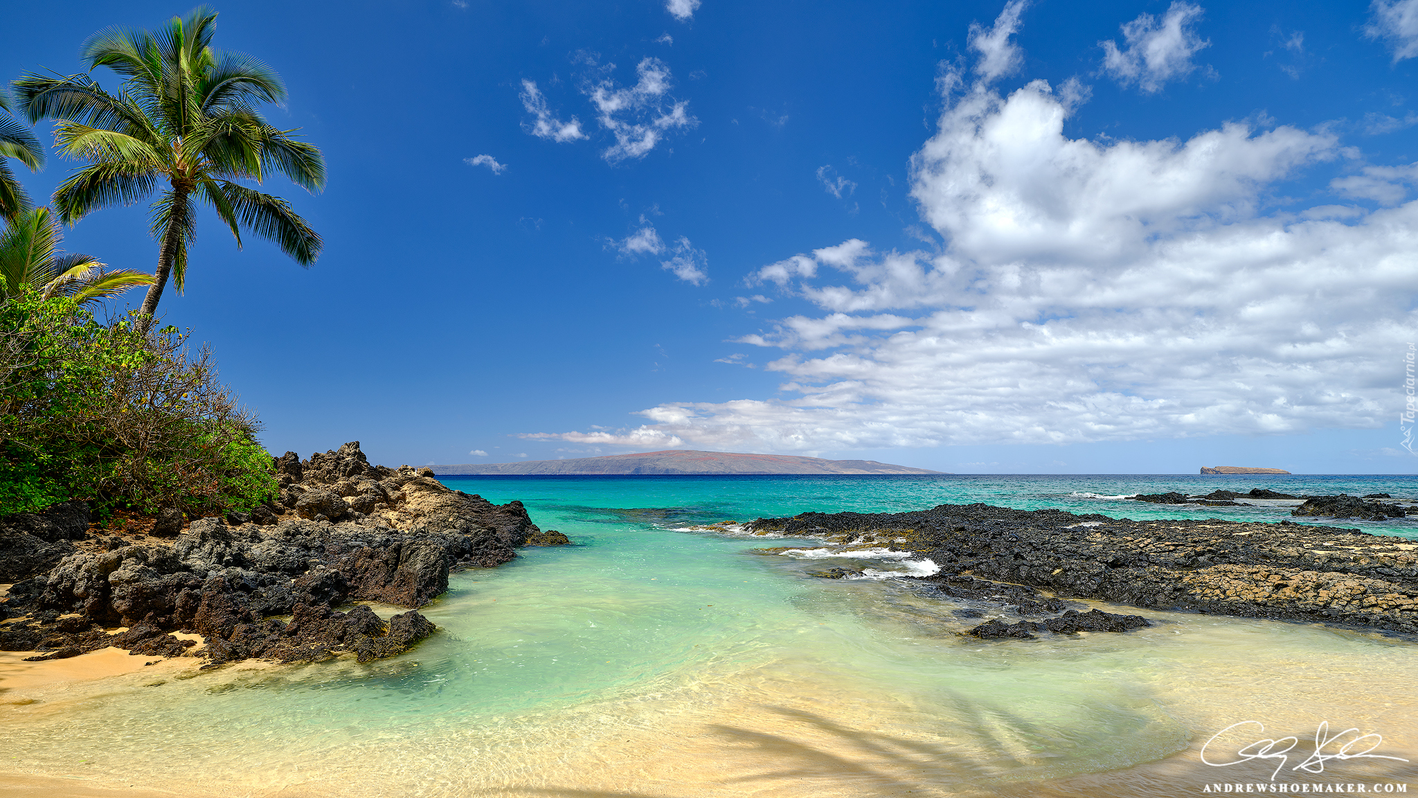 Stany Zjednoczone, Hawaje, Maui, Morze, Plaża, Skały, Palma