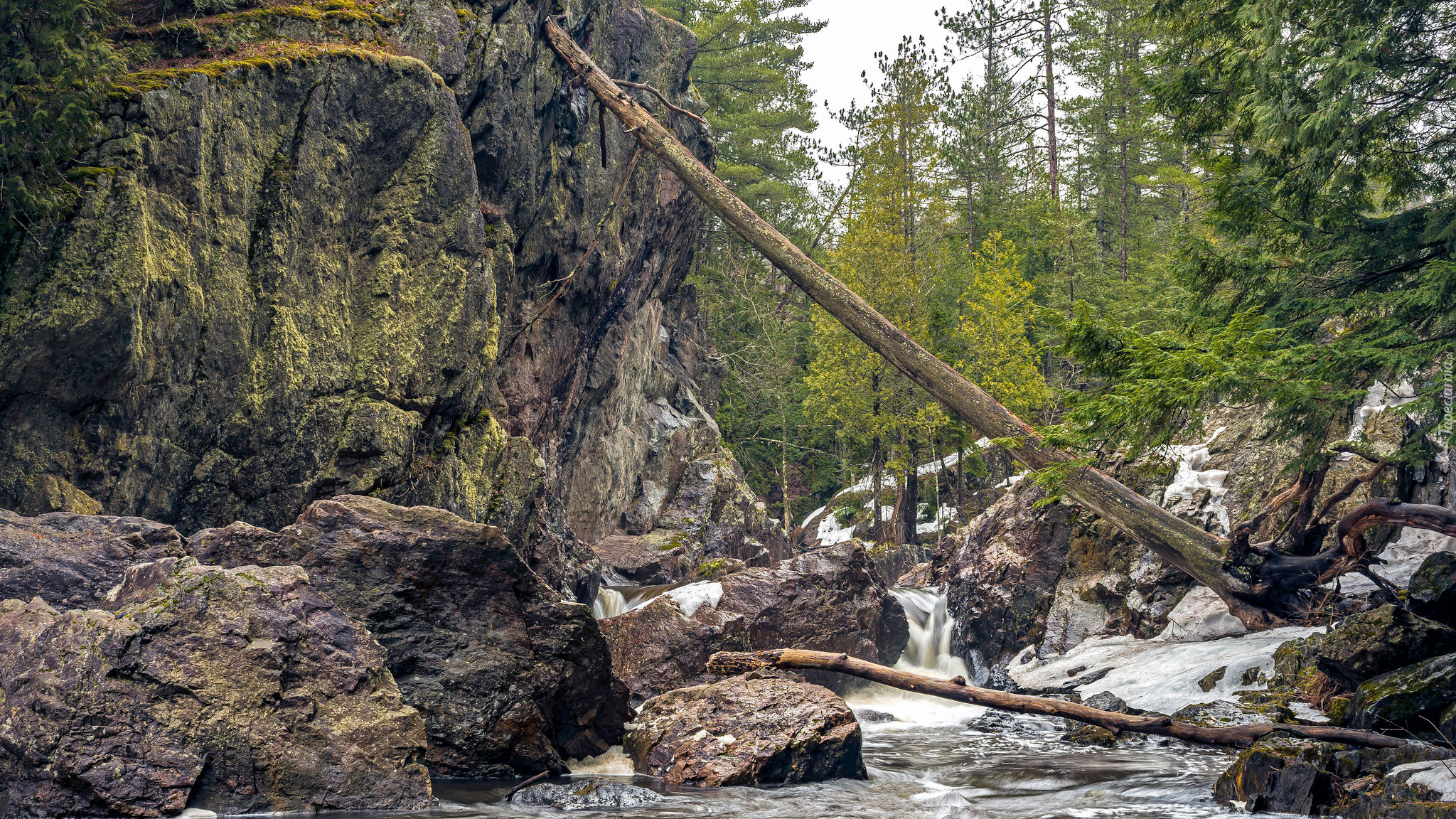 Skały, Drzewa, Rzeka, Dead River, Hrabstwo Marquette, Michigan, Stany Zjednoczone