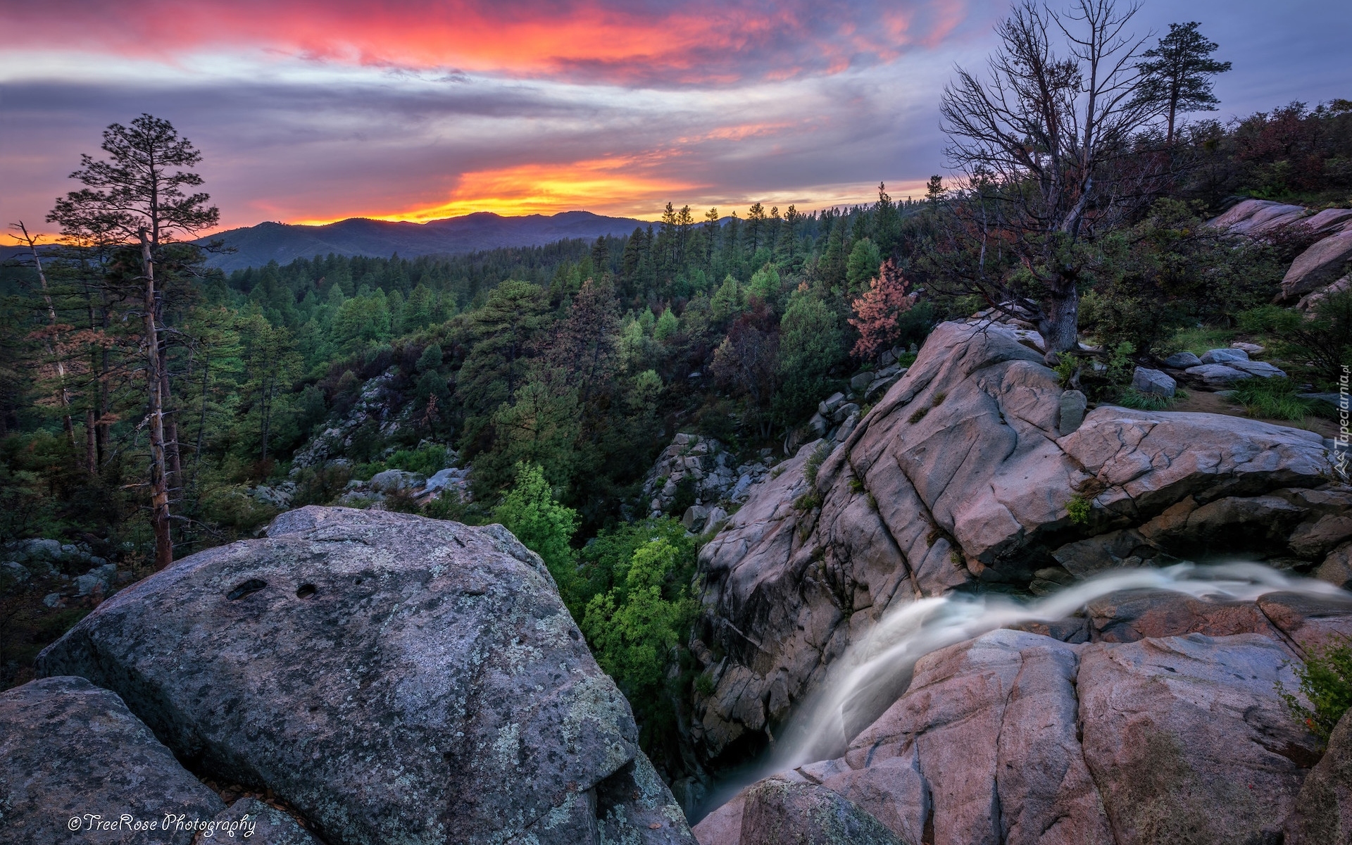 Stany Zjednoczone, Arizona, Prescott, Zachód słońca, Skały, Potok, Wolf Creek, Drzewa